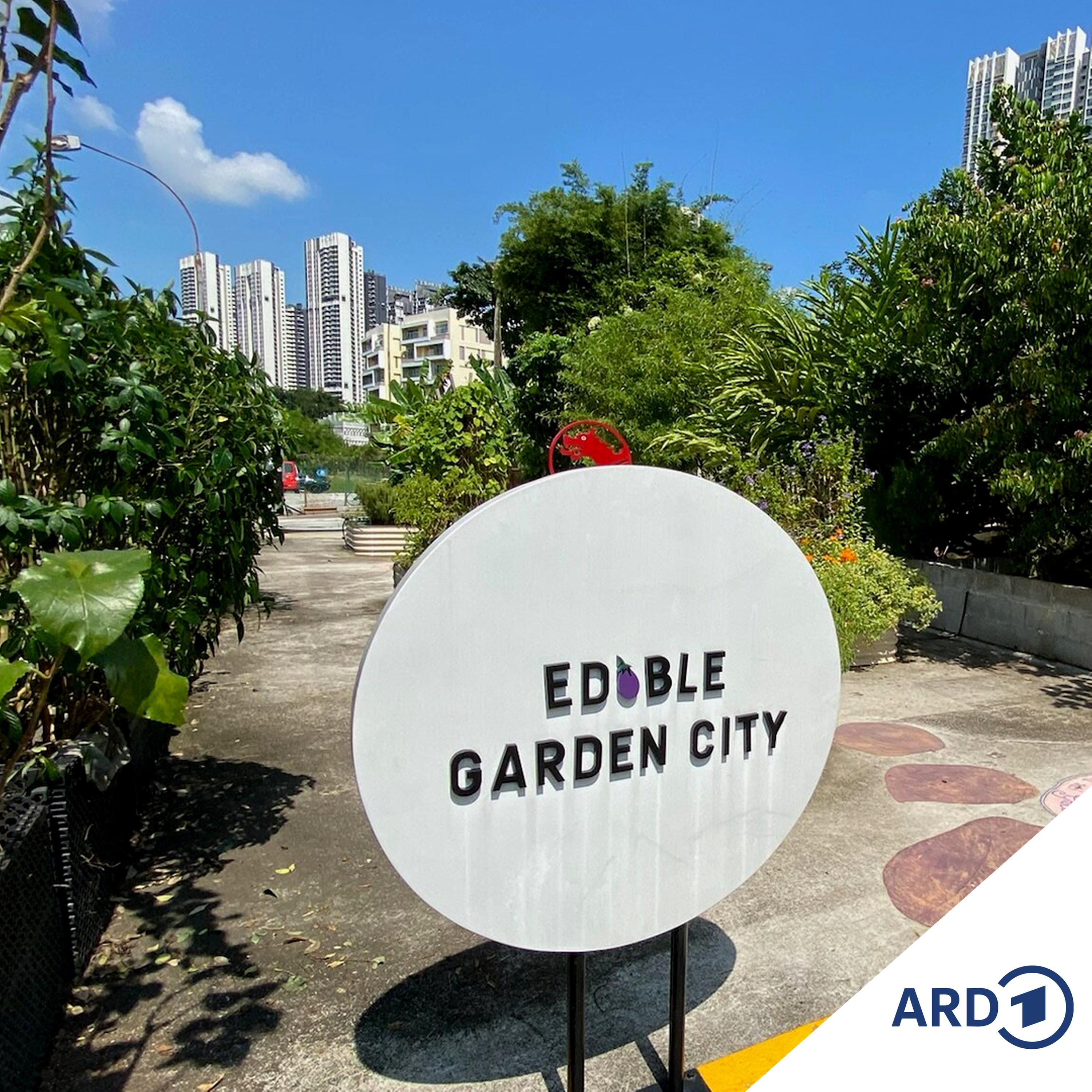 Singapur – mehr als Marina Bay und Formel 1