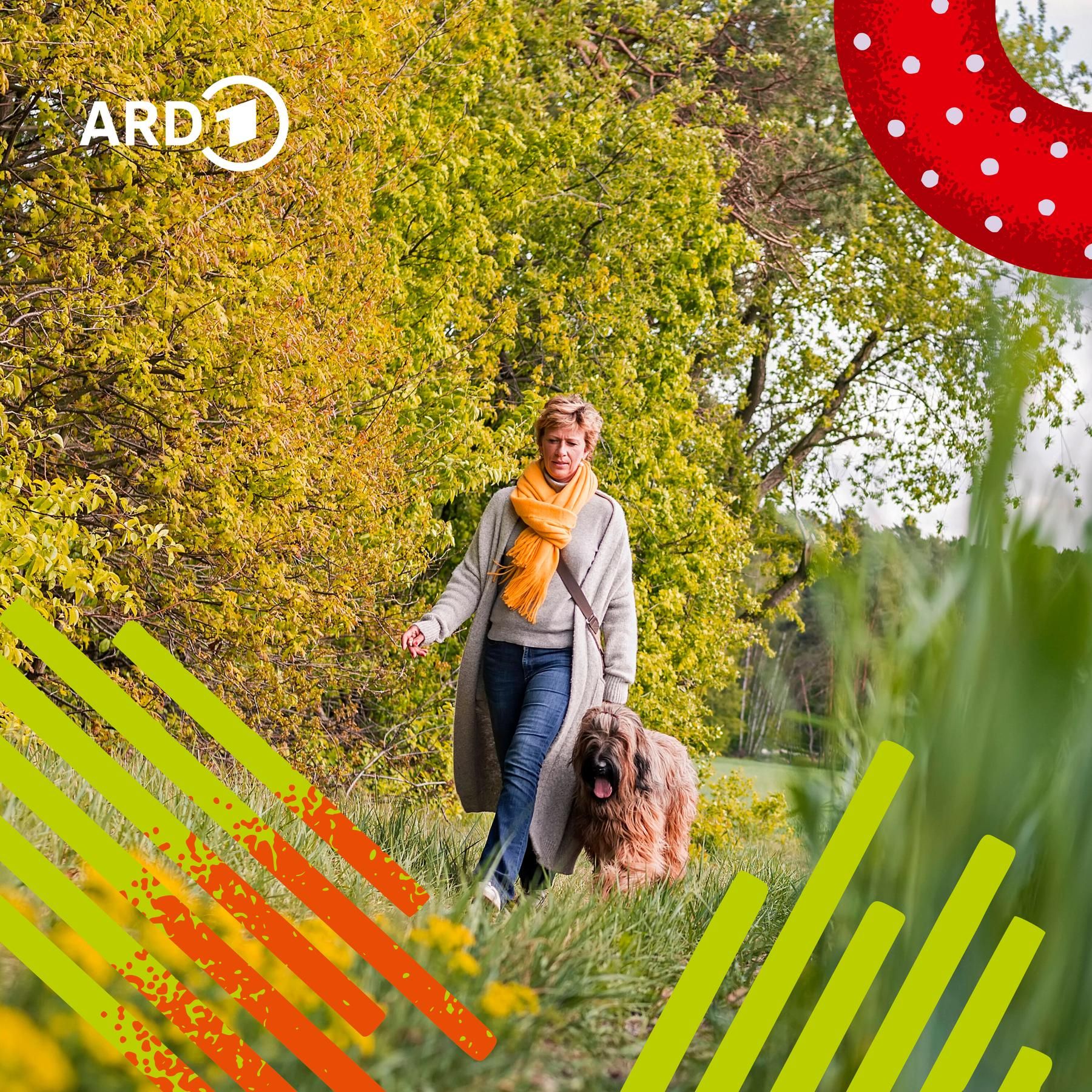 Singles - Braucht der Mensch einen Partner?