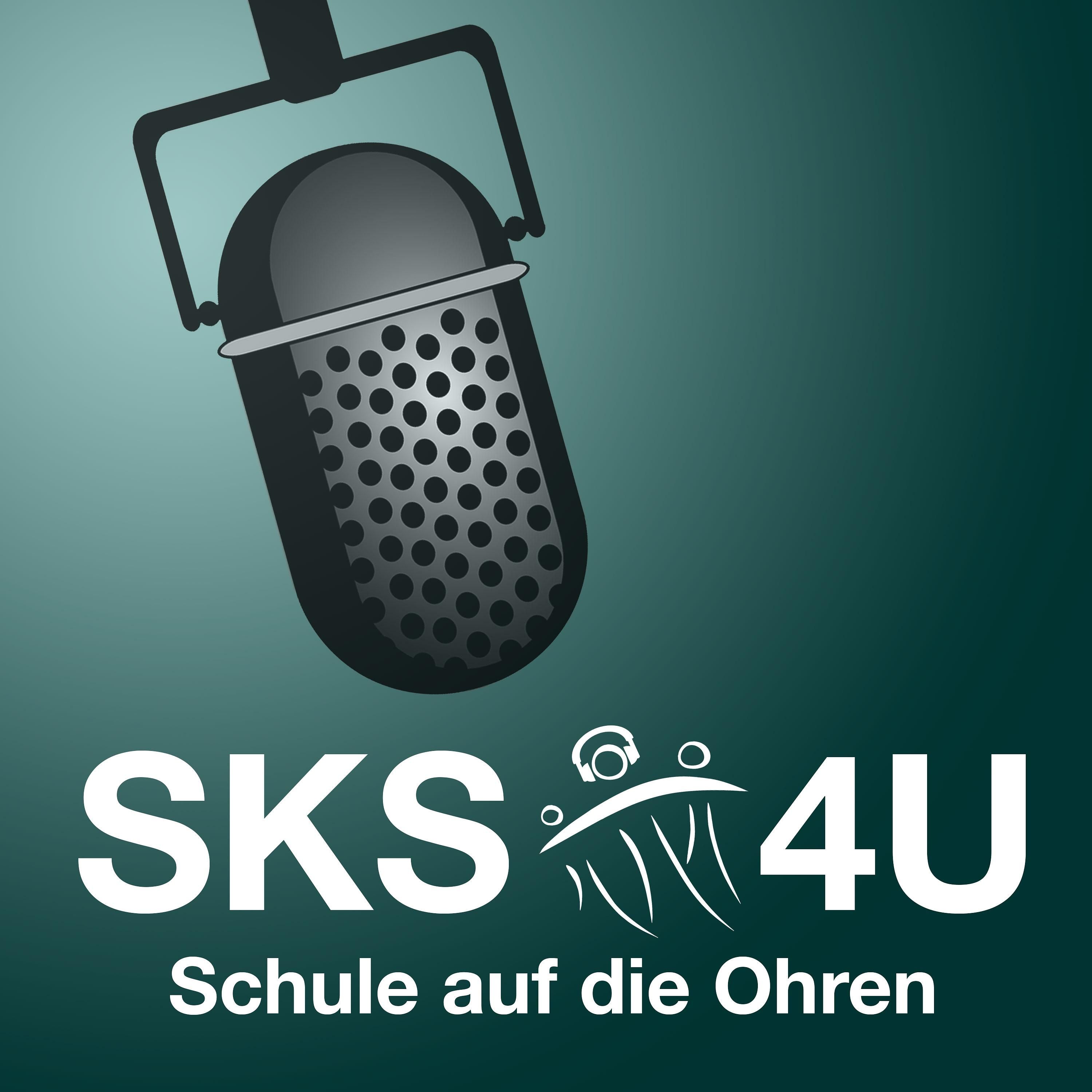 SKS Talk mit Polizeihauptkommissar Maik Reese
