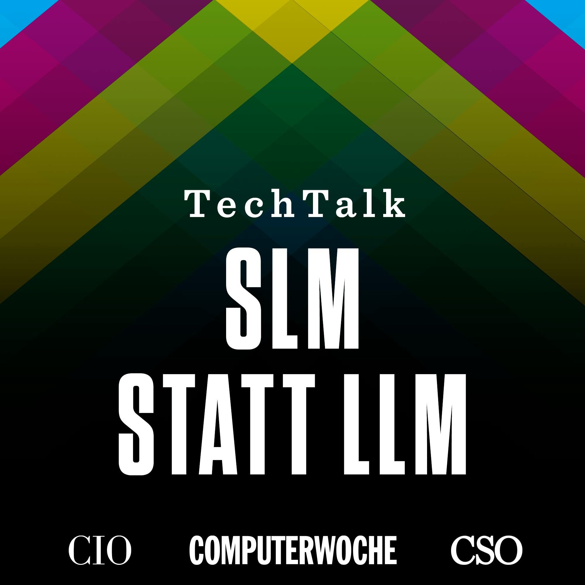 SLM statt LLM - mit Rolf Löwisch, IBM