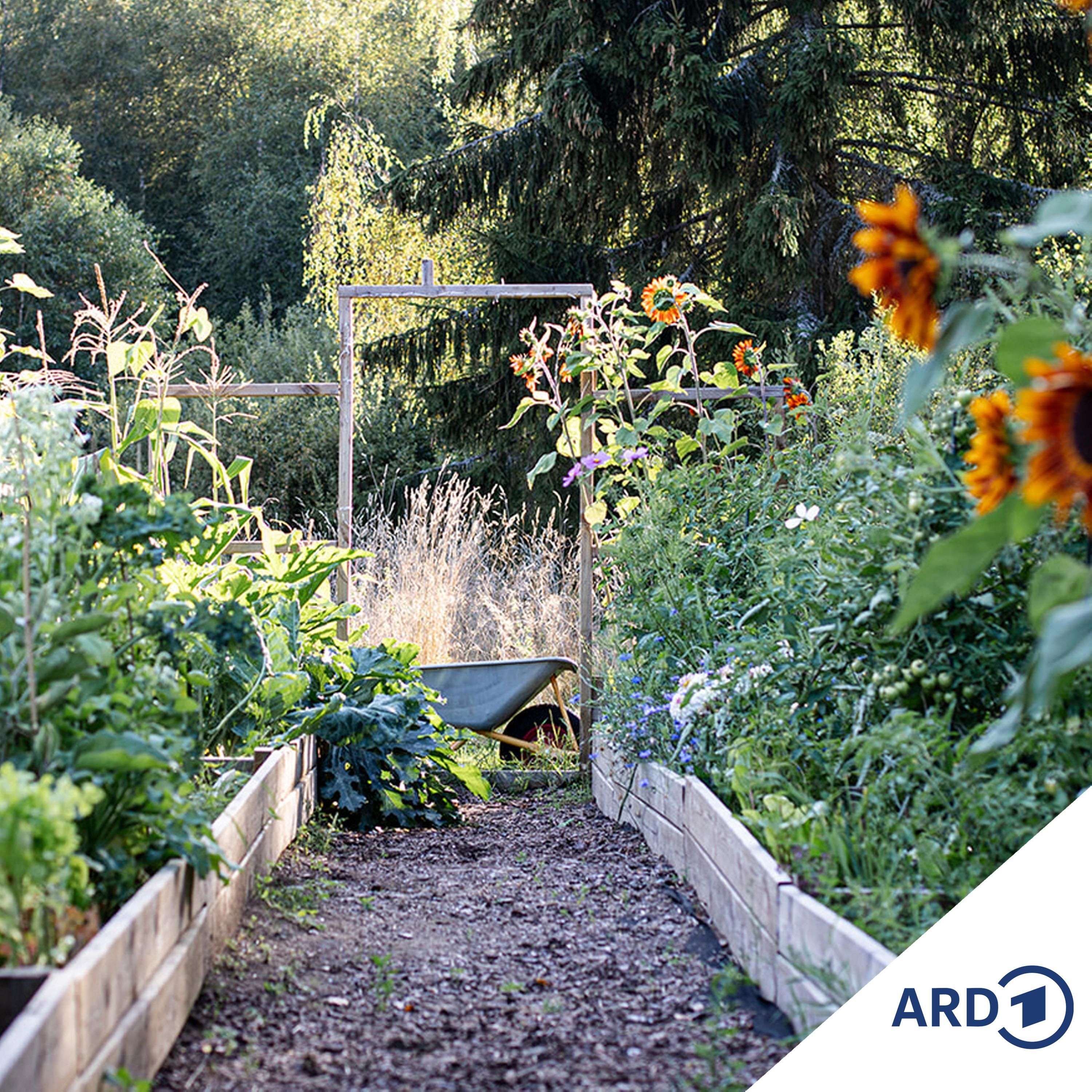 Slow Gardening - entspannt gärtnern