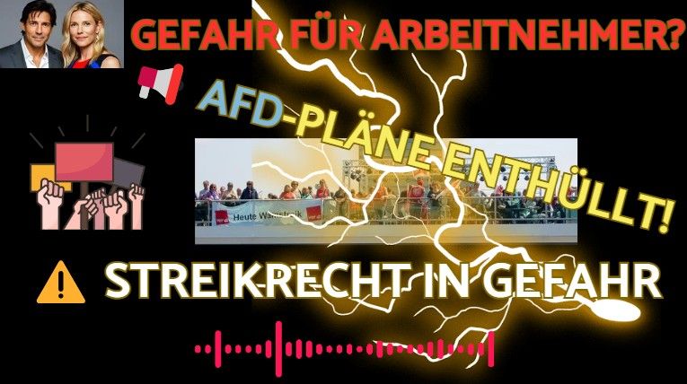 🆘SO arbeitnehmerFEINDLICH ist die AFD wirklich - Unternehmen profitieren