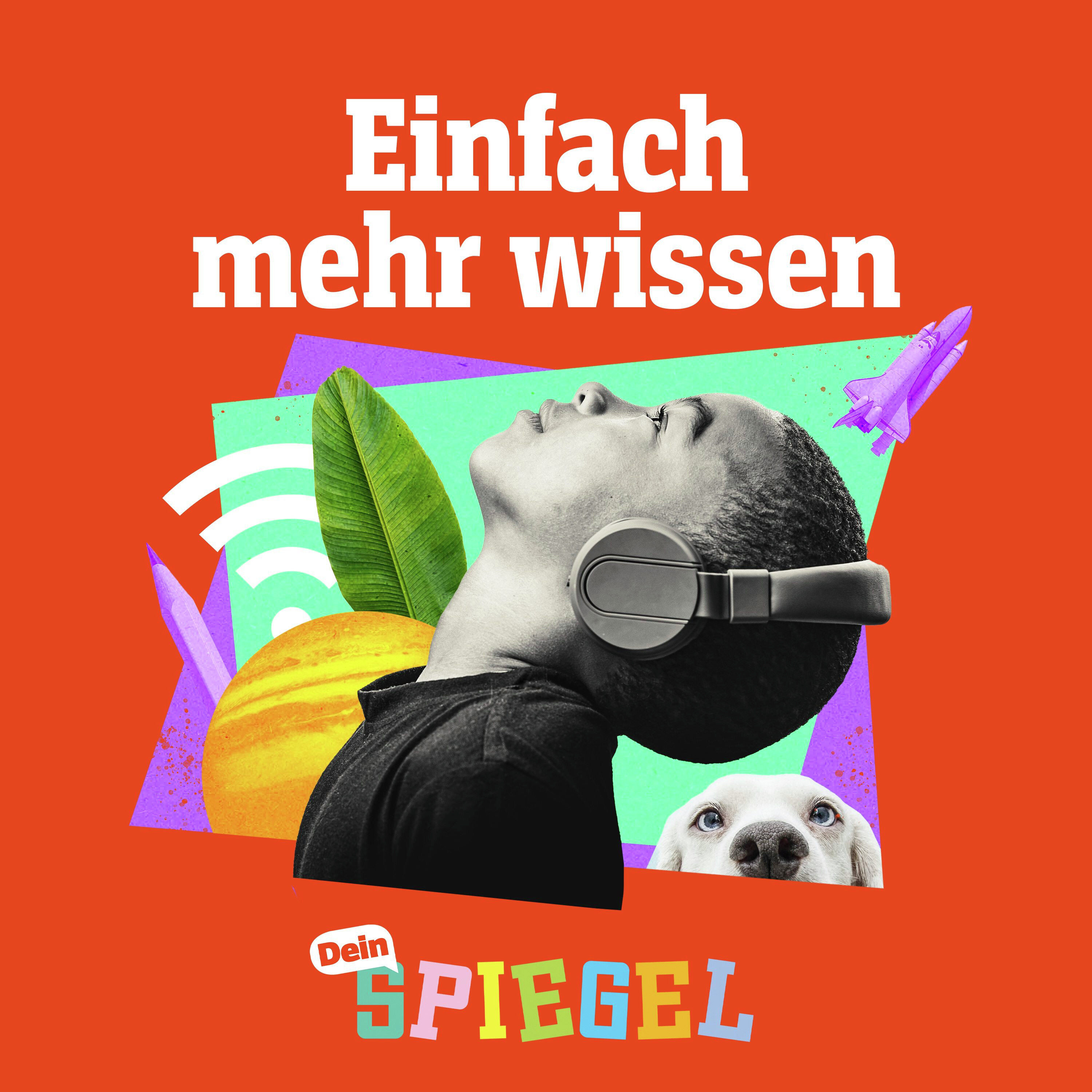 So entsteht ein Medikament