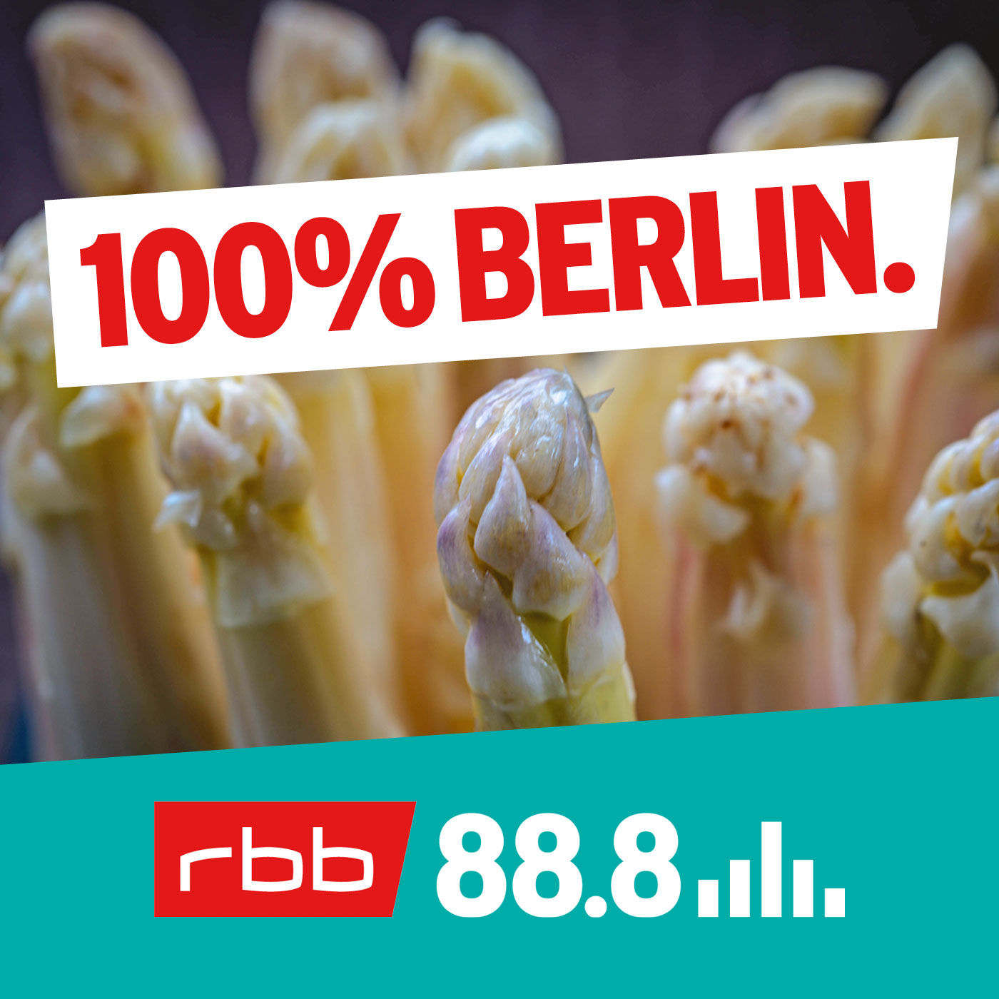 So kam der Spargel nach Berlin