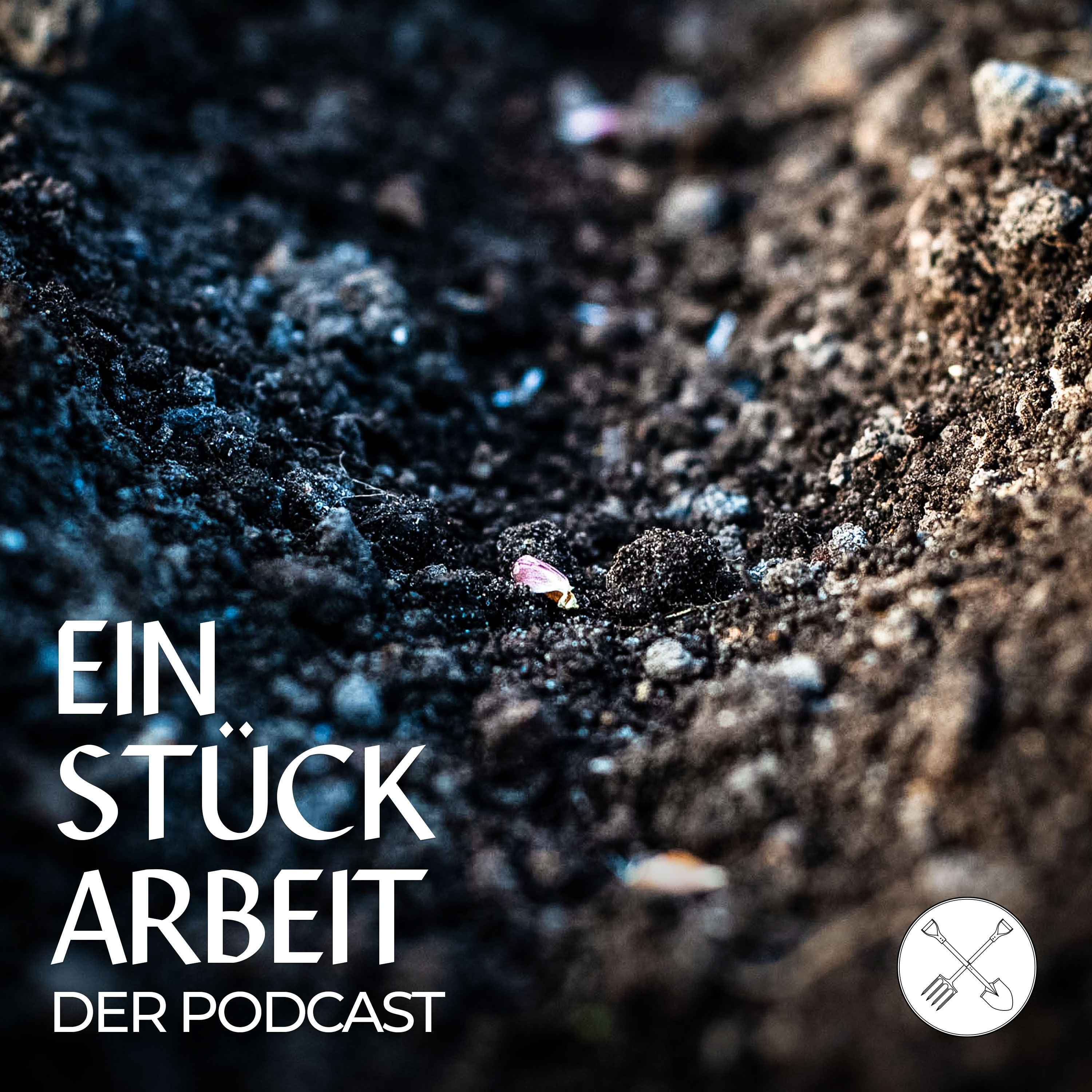 🌱So plant ihr eure Aussaat – sieben Tipps!