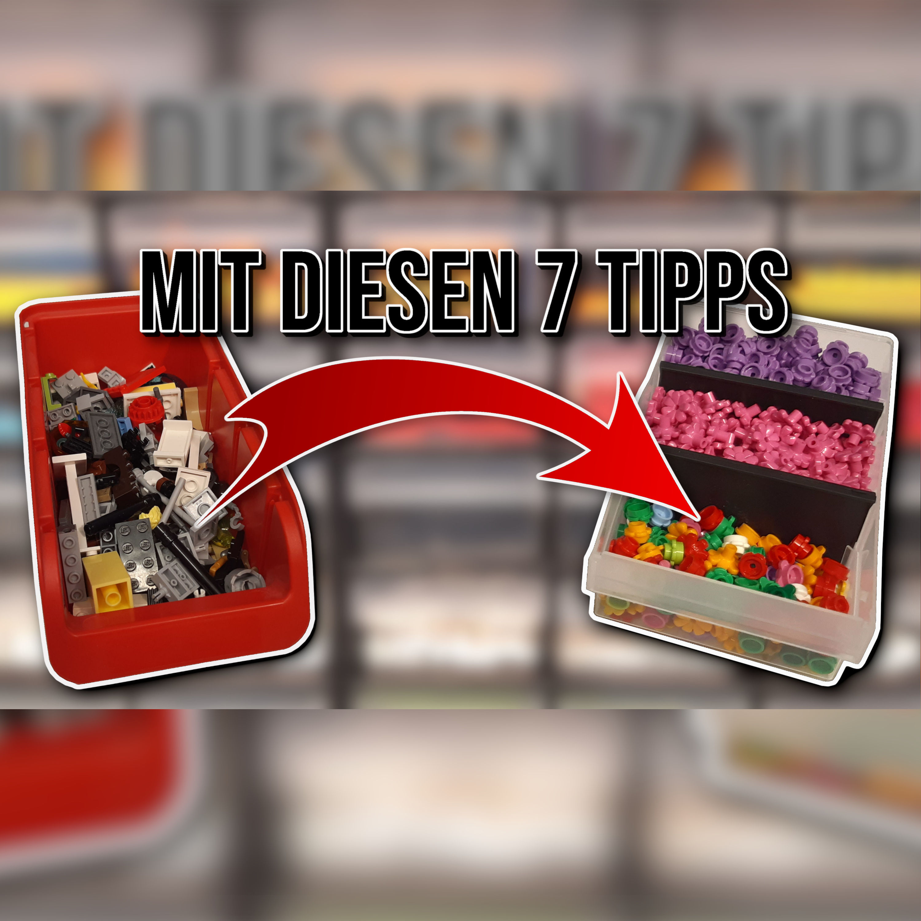 🌟So solltest du dein LEGO SORTIEREN!😉