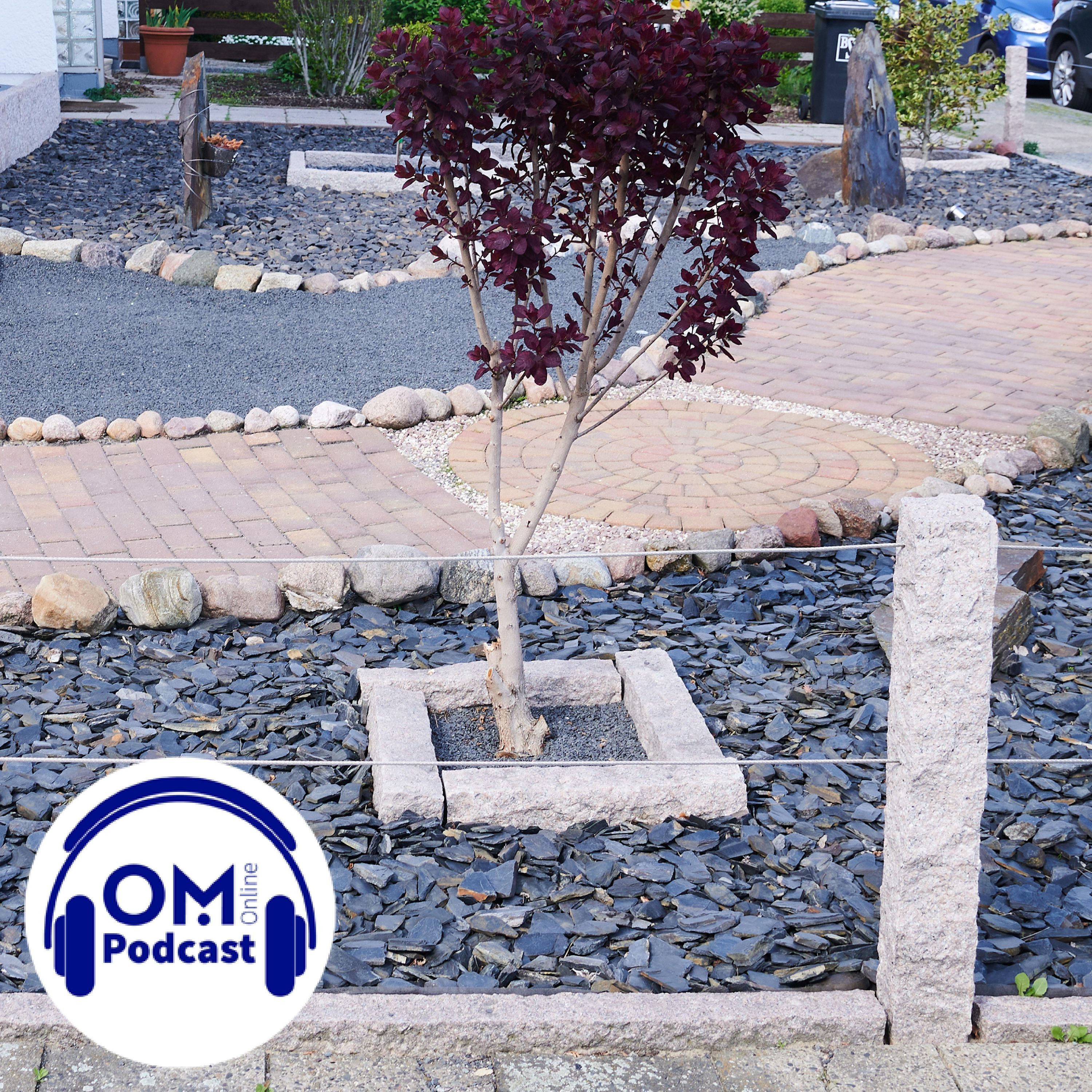 So steht es um Schottergärten in Dinklage – Episode 178