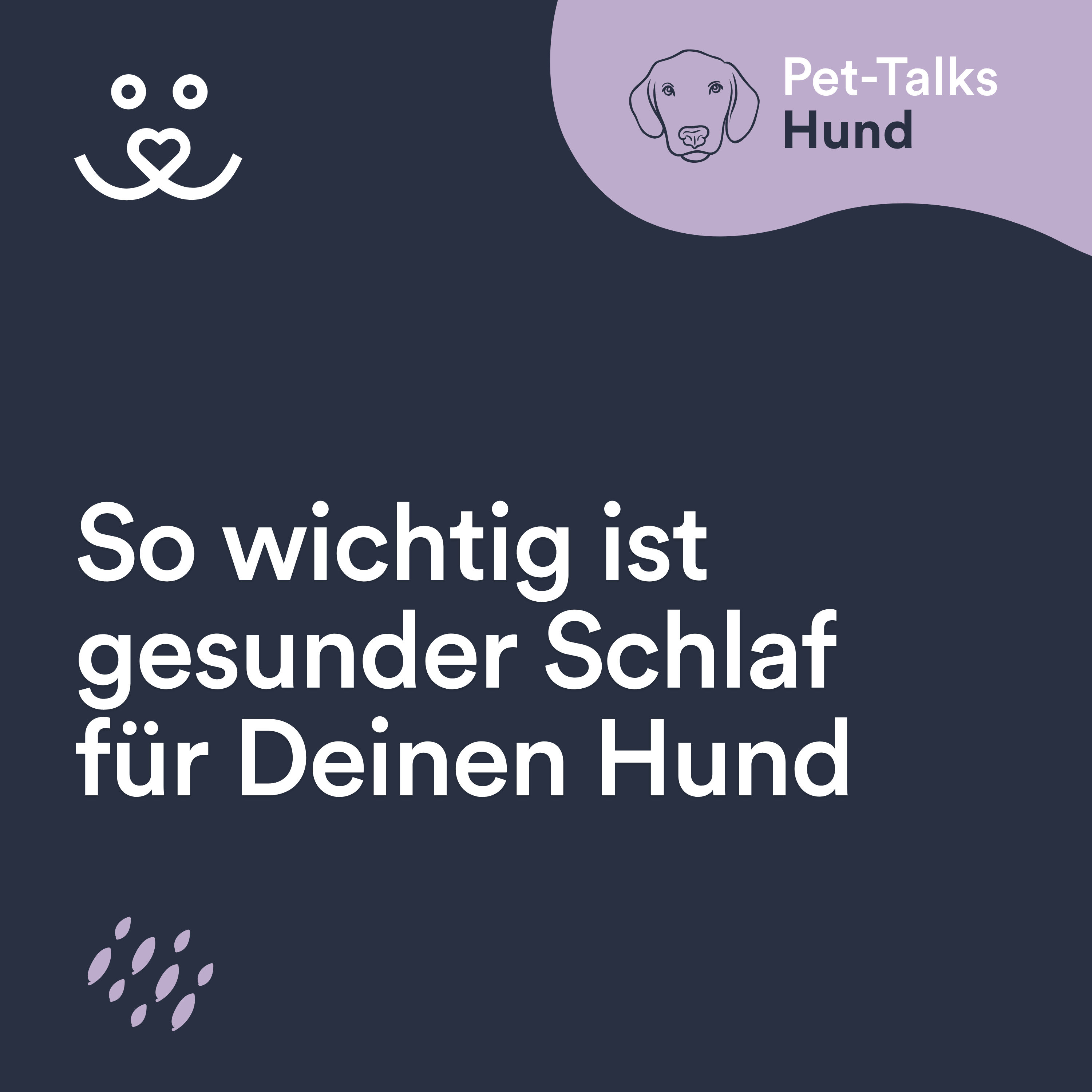 So wichtig ist gesunder Schlaf für Deinen Hund