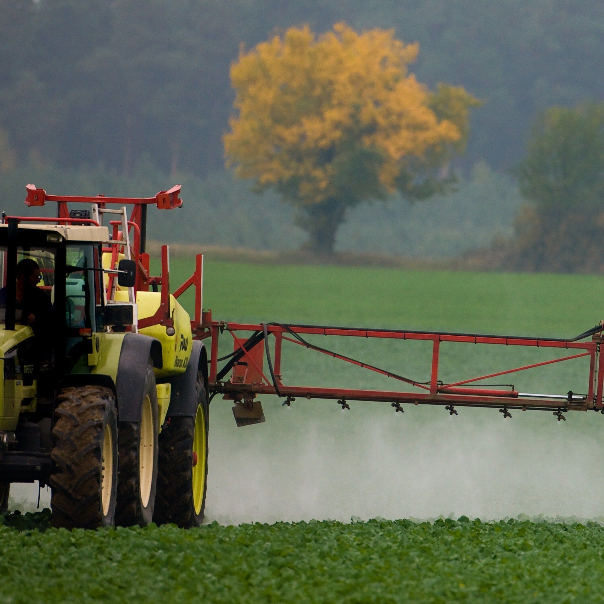 So will die EU-Kommission die Zulassung von Pestiziden verändern