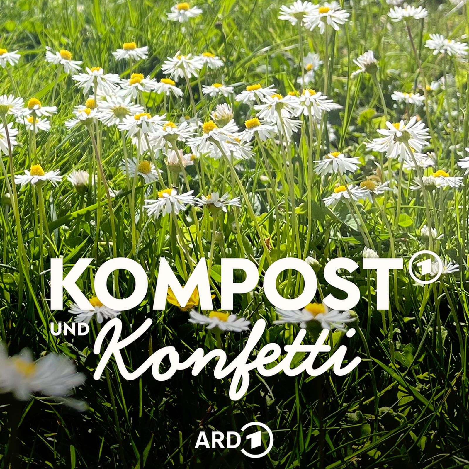 So wird der Rasen im Frühling schön - mit René Wadas