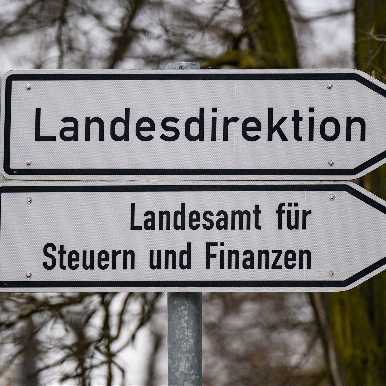 Software-Debakel bei sächsischer Finanzverwaltung