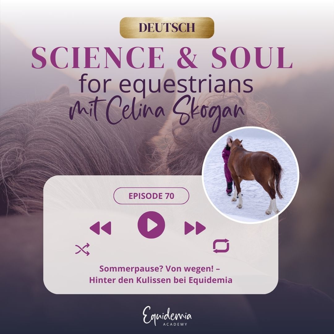 Sommerpause? Von wegen! – Hinter den Kulissen bei Equidemia
