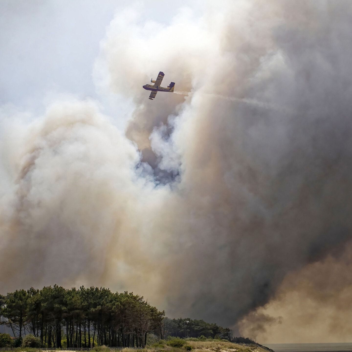 Sommerurlaub mit Waldbrand-Risiko