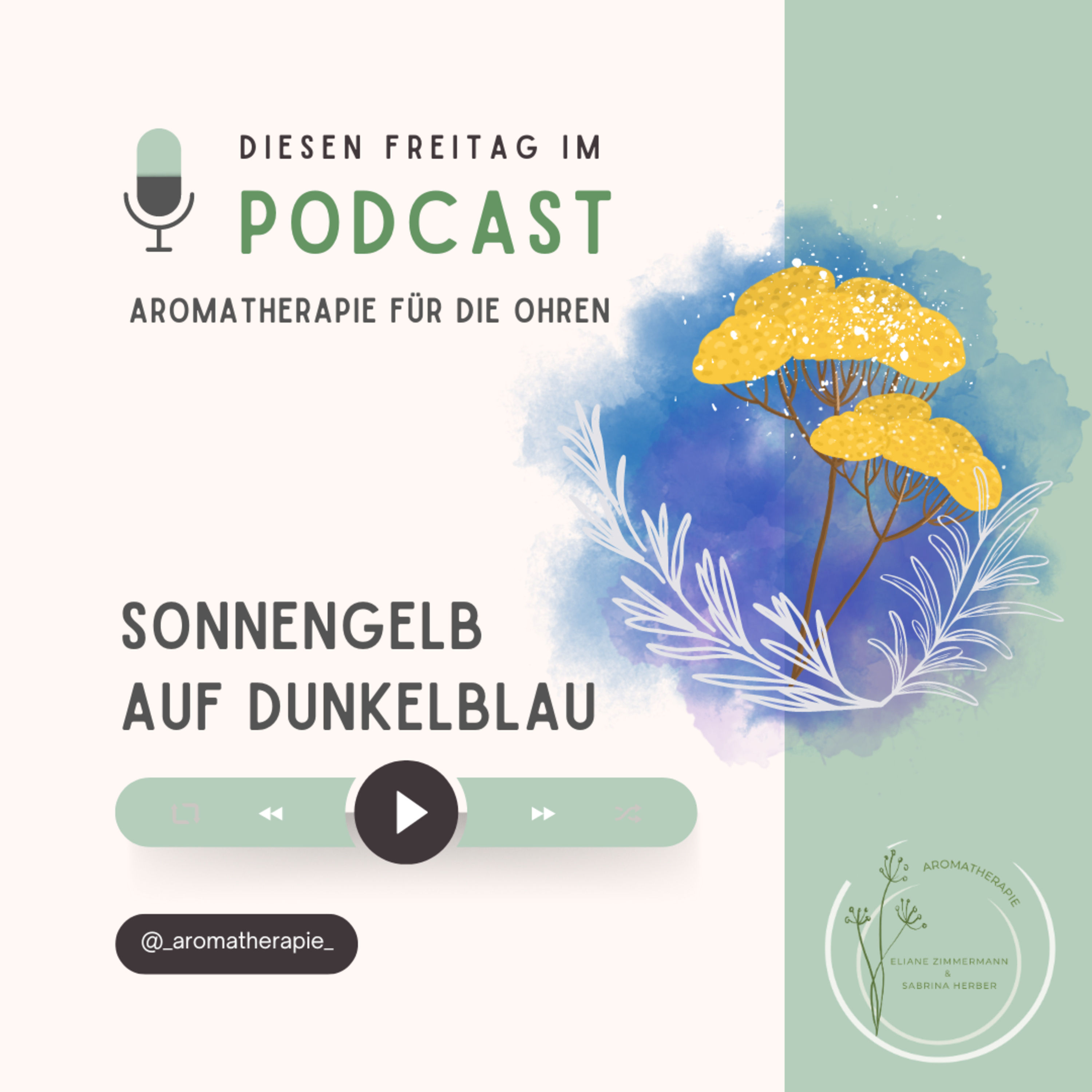 Sonnengelb auf Dunkelblau – Wunder bei Wunden mit Immortelle