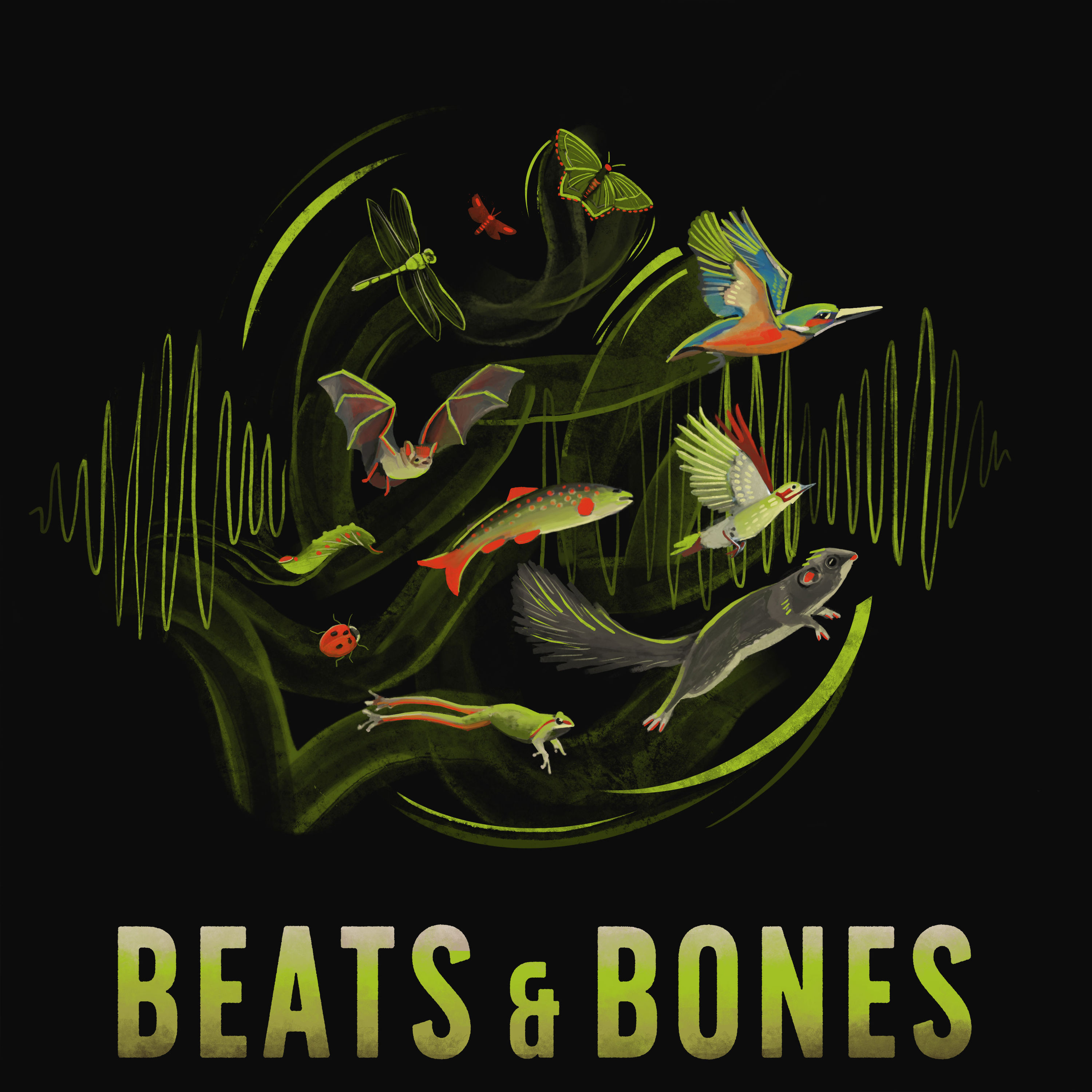 Sound of Biodiversity mit Dominik Eulberg