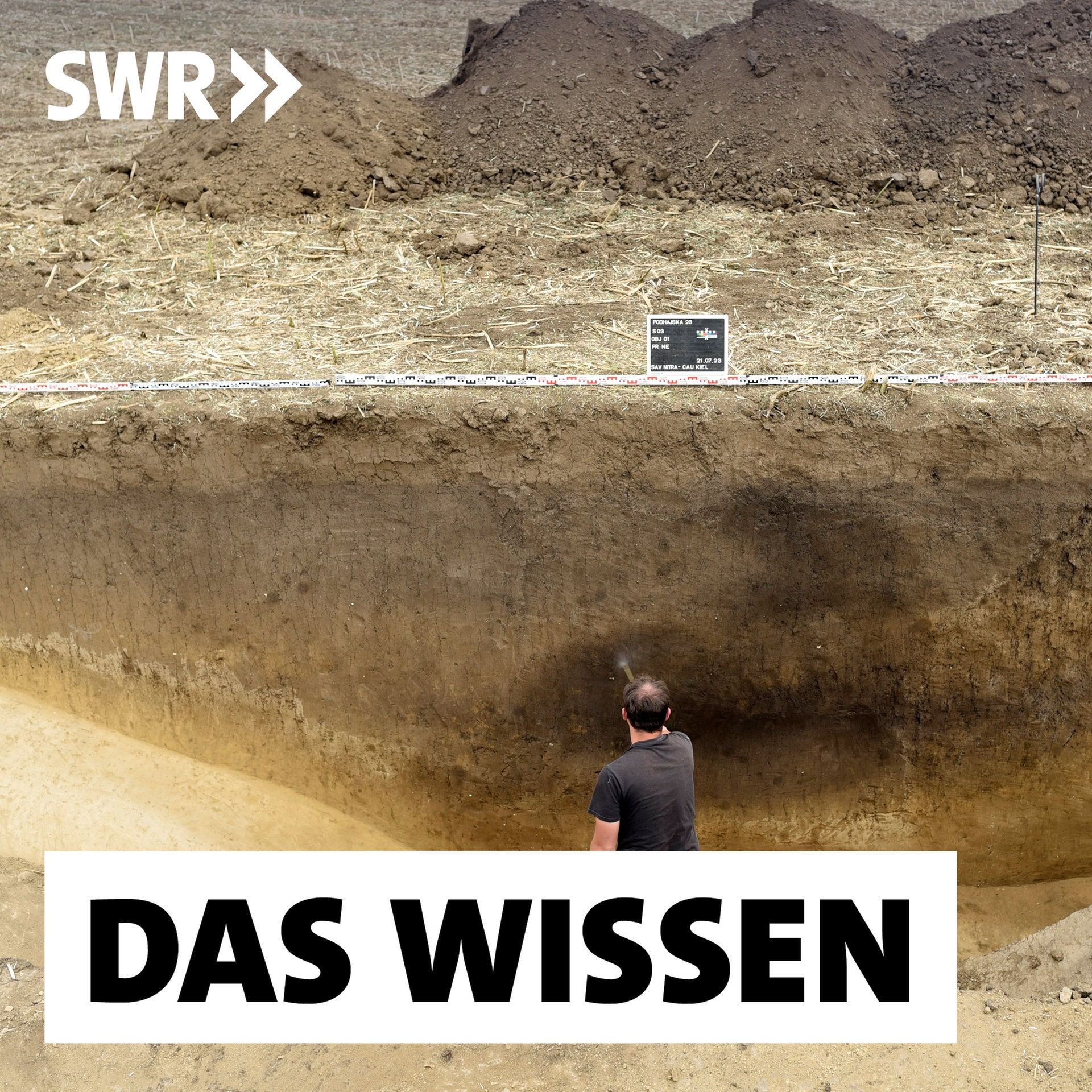 Soziale Gleichheit in der Frühgeschichte – Wie Siedlungen ohne Hierarchie auskamen