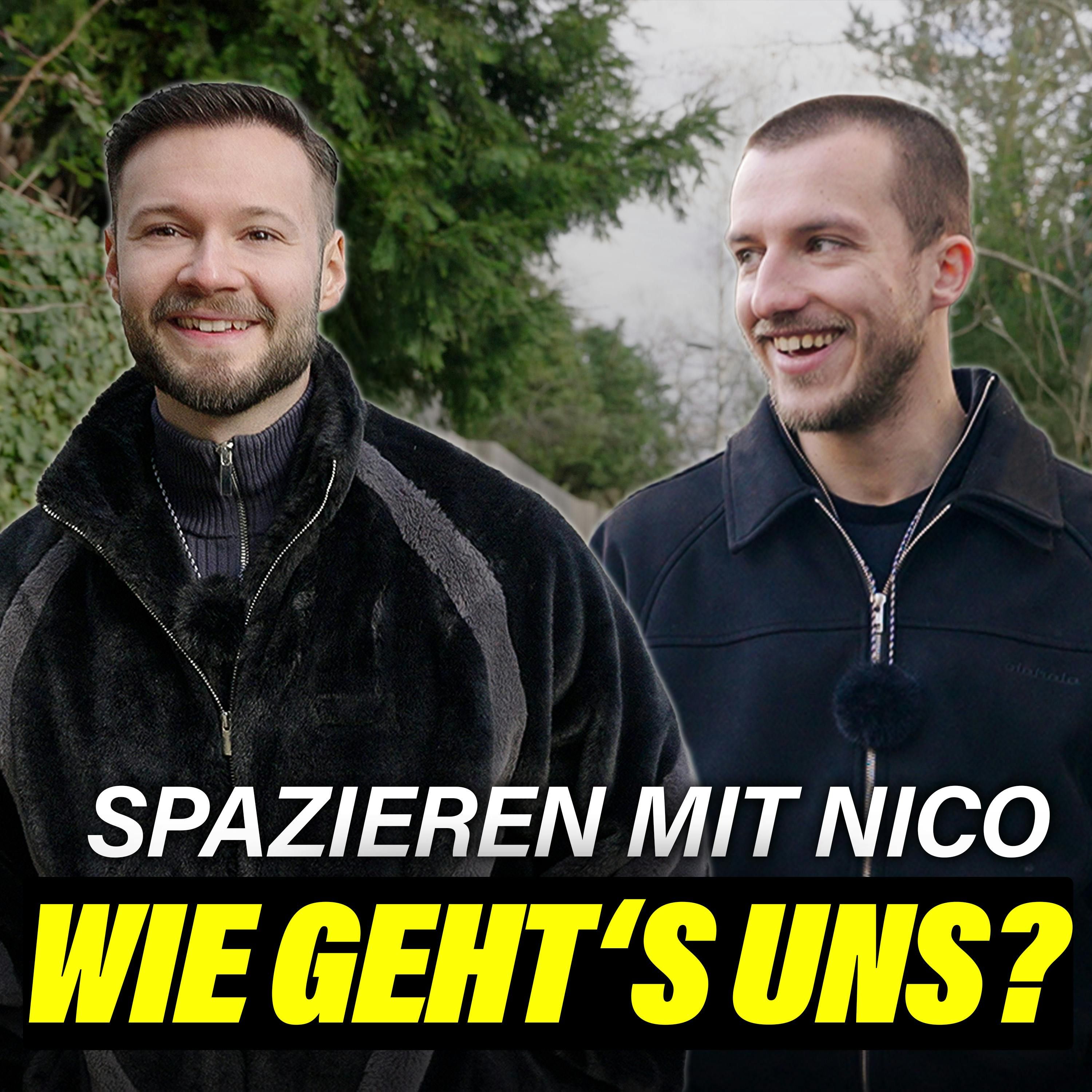 Spazieren mit Nico: Unser krassestes aber anstrengendstes Jahr