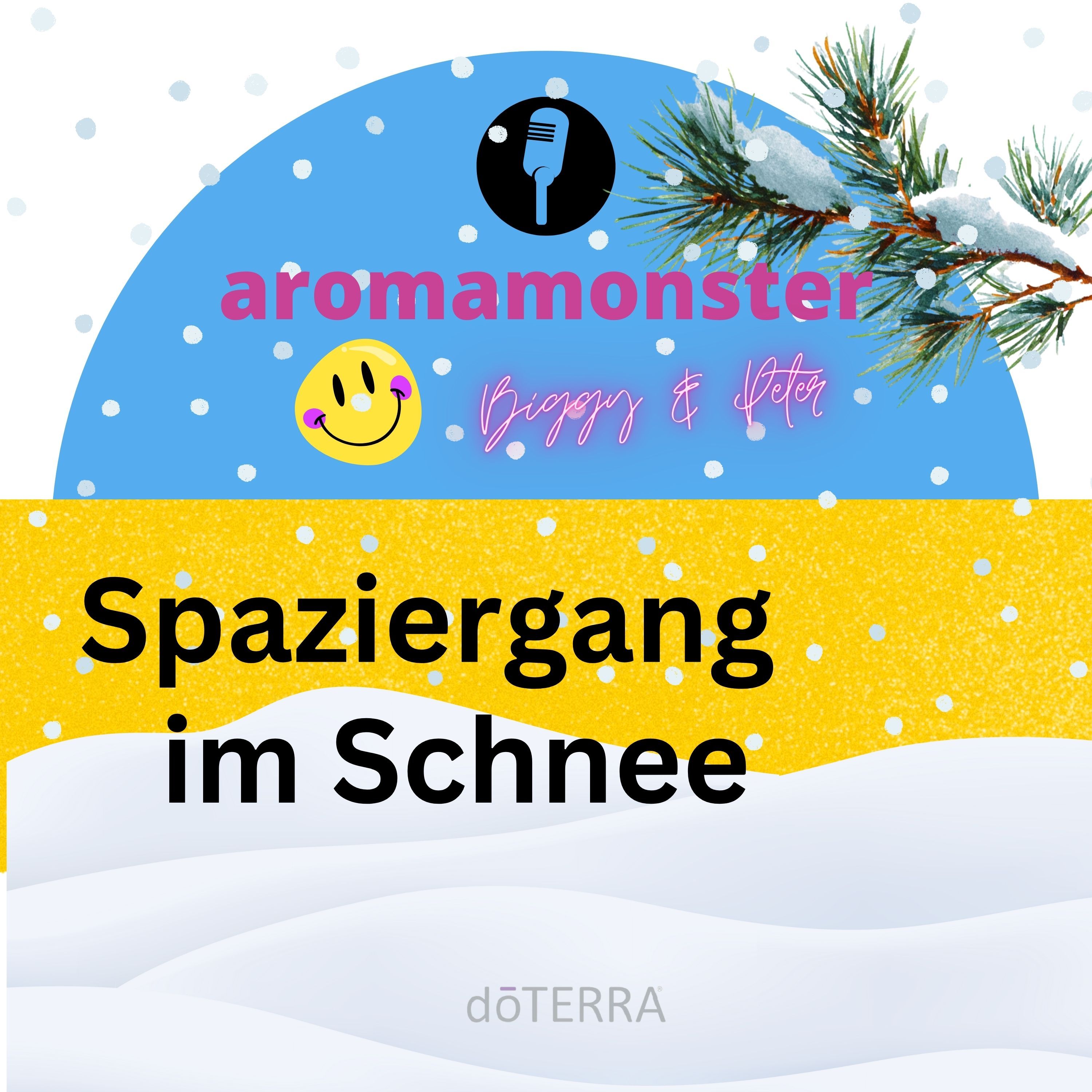 SPAZIERGANG IM SCHNEE