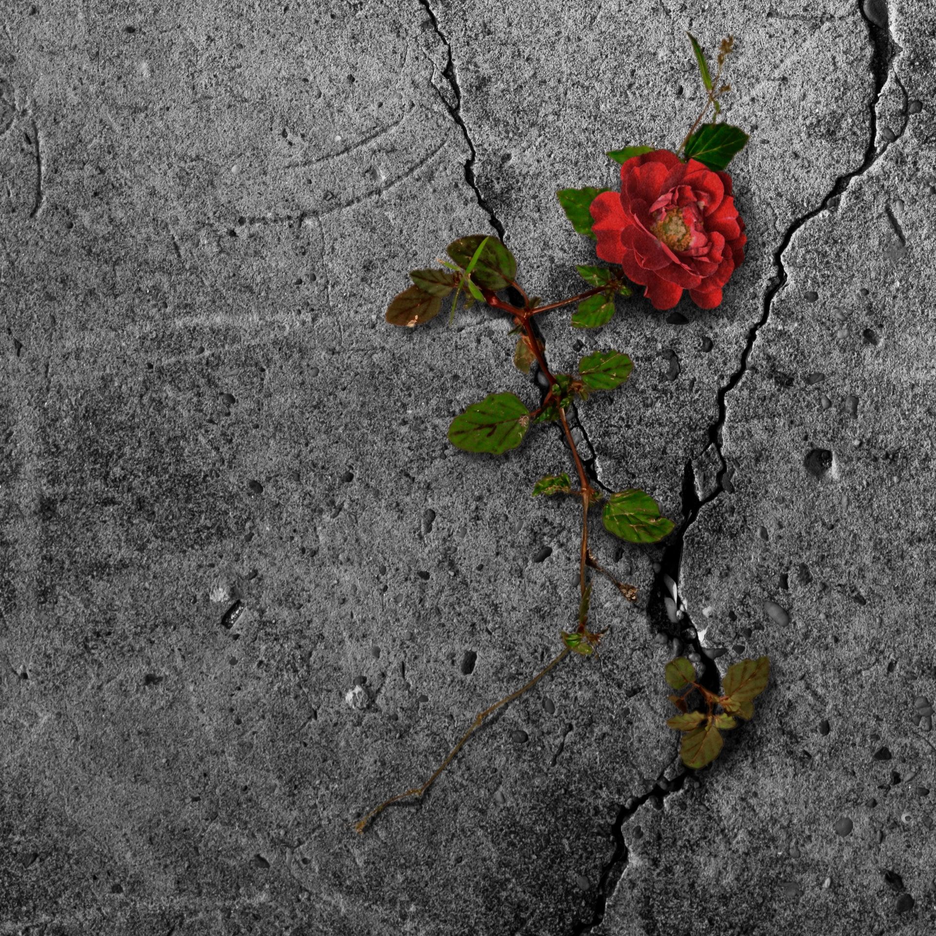 Special: Host Chiara und Protagonisten beim Podcast Event aus Ulm