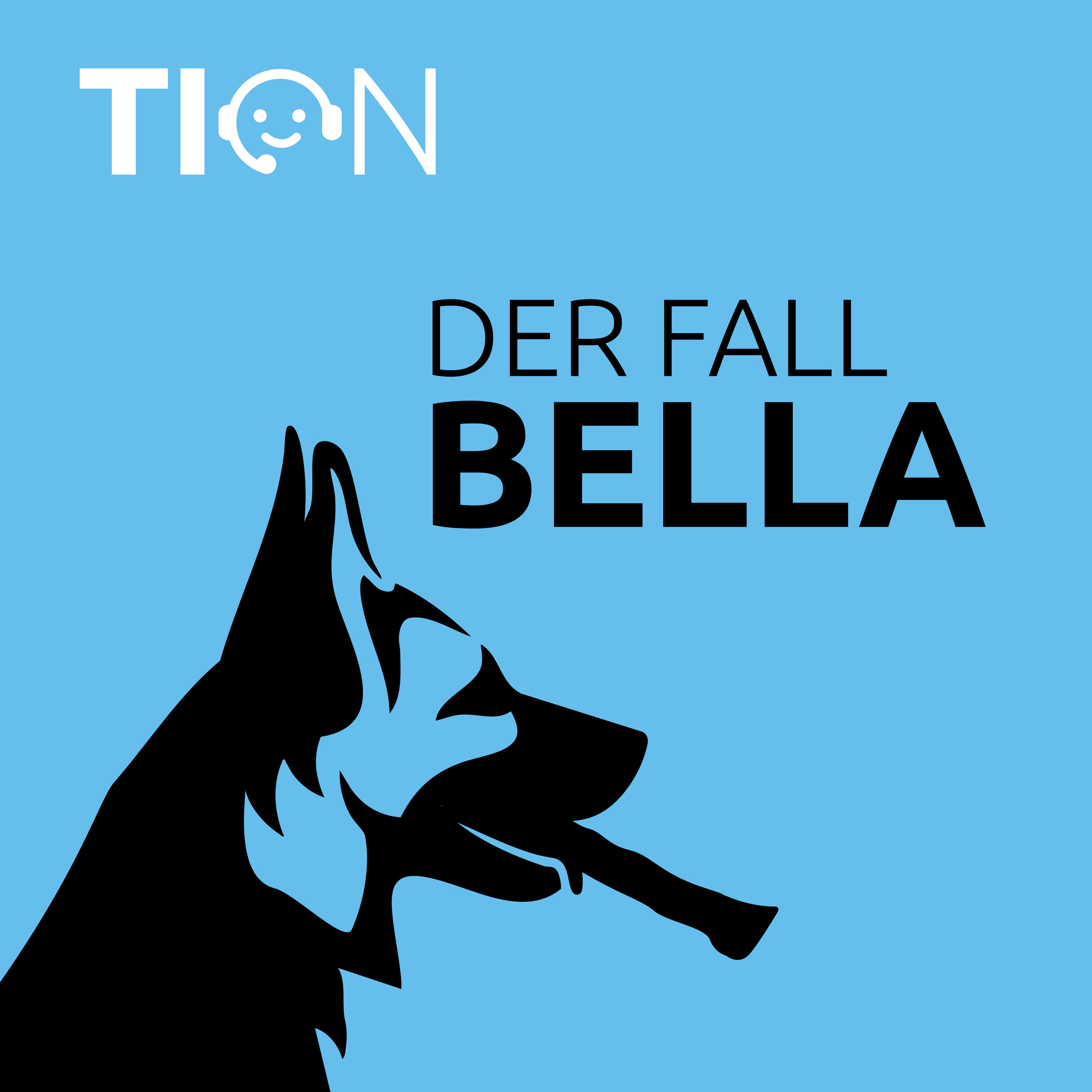 Spieß- und Stöckchenverletzung bei Hunden