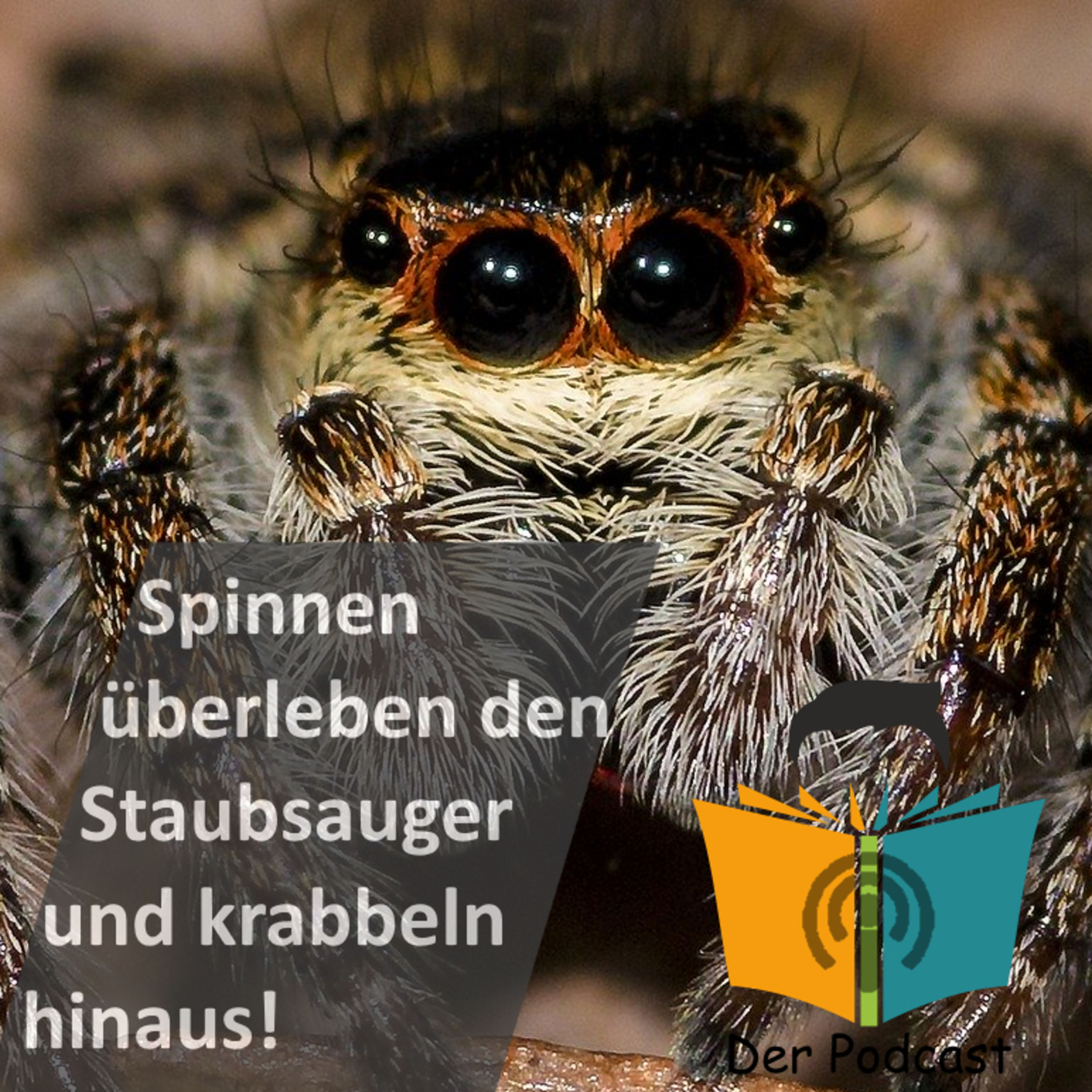 "Spinnen überleben den Staubsauger und krabbeln hinaus!" - IstDasFakt?!