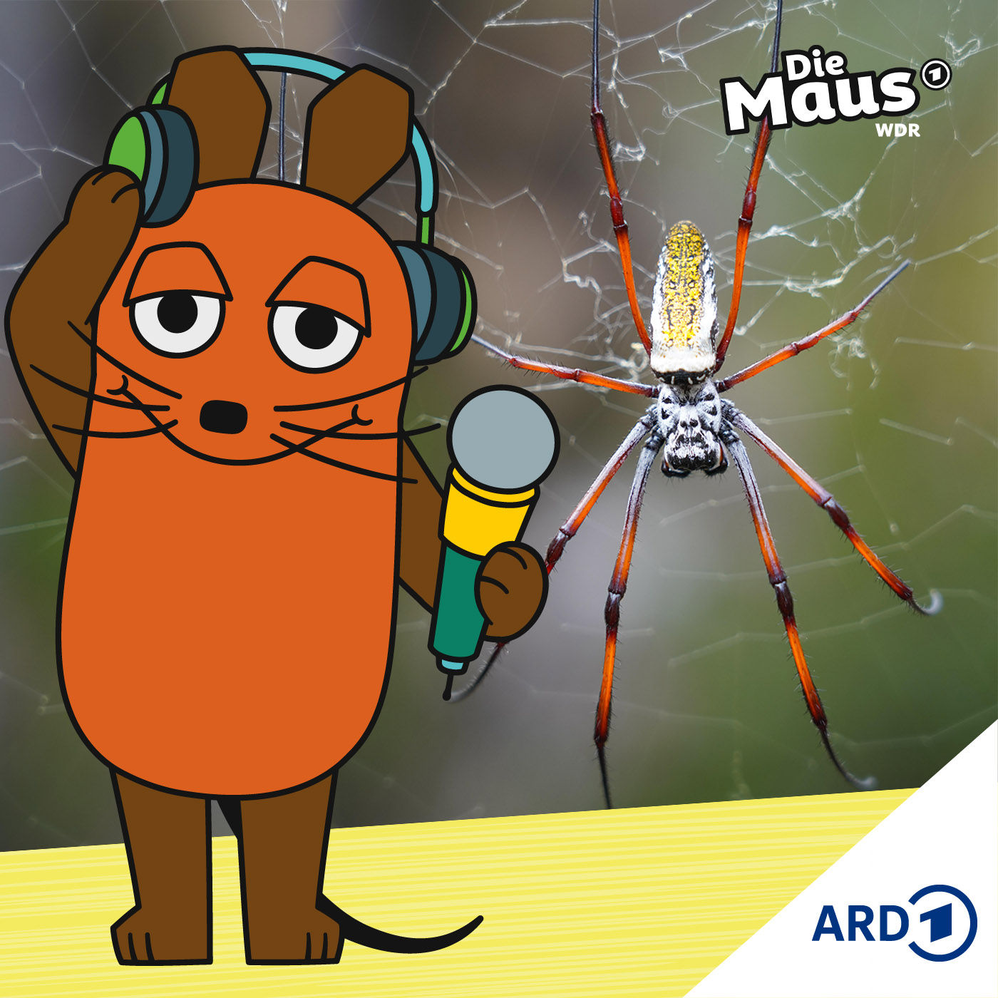 Spinnenfäden als Nerven-Ersatz?