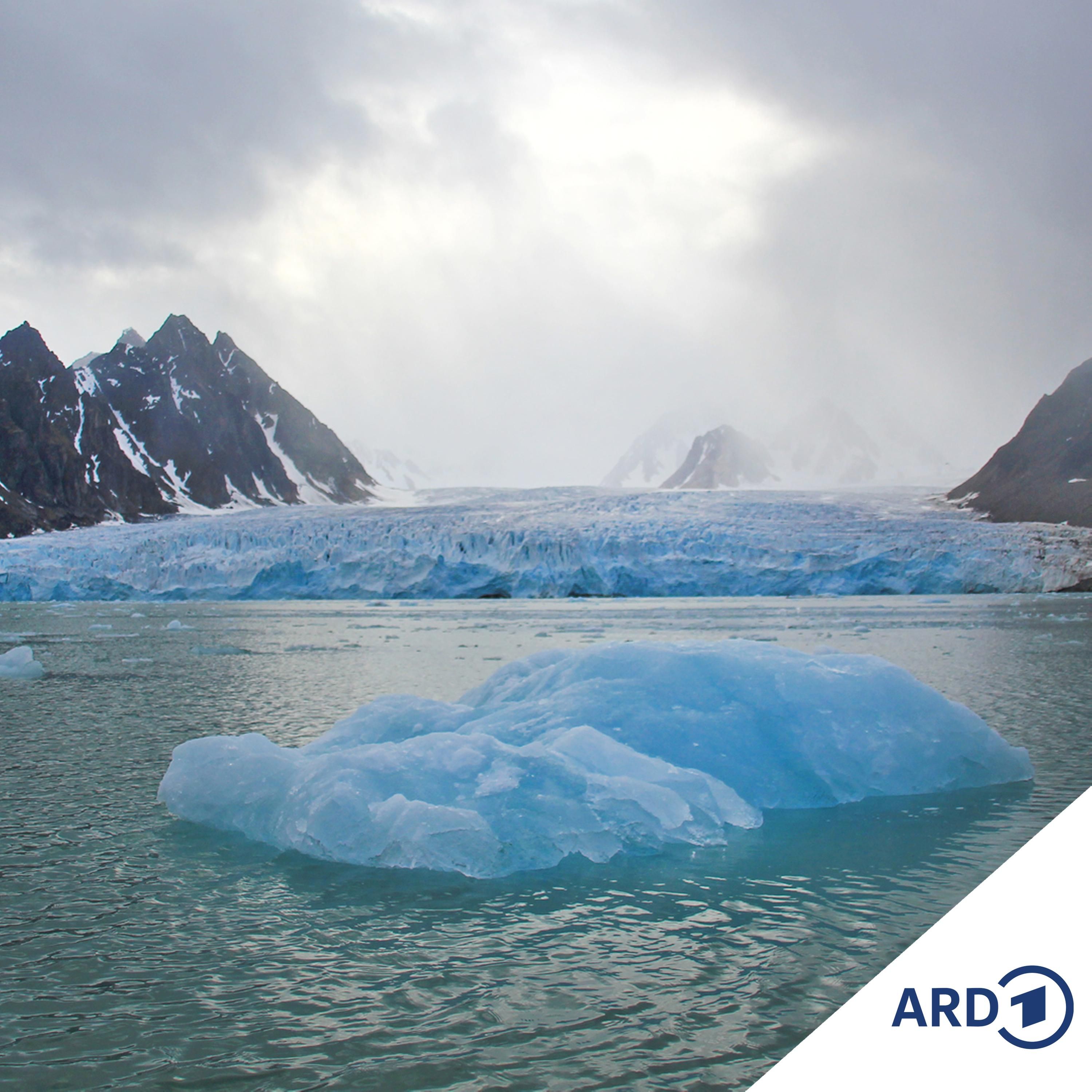 Spitzbergen - Leben am Limit der Arktis