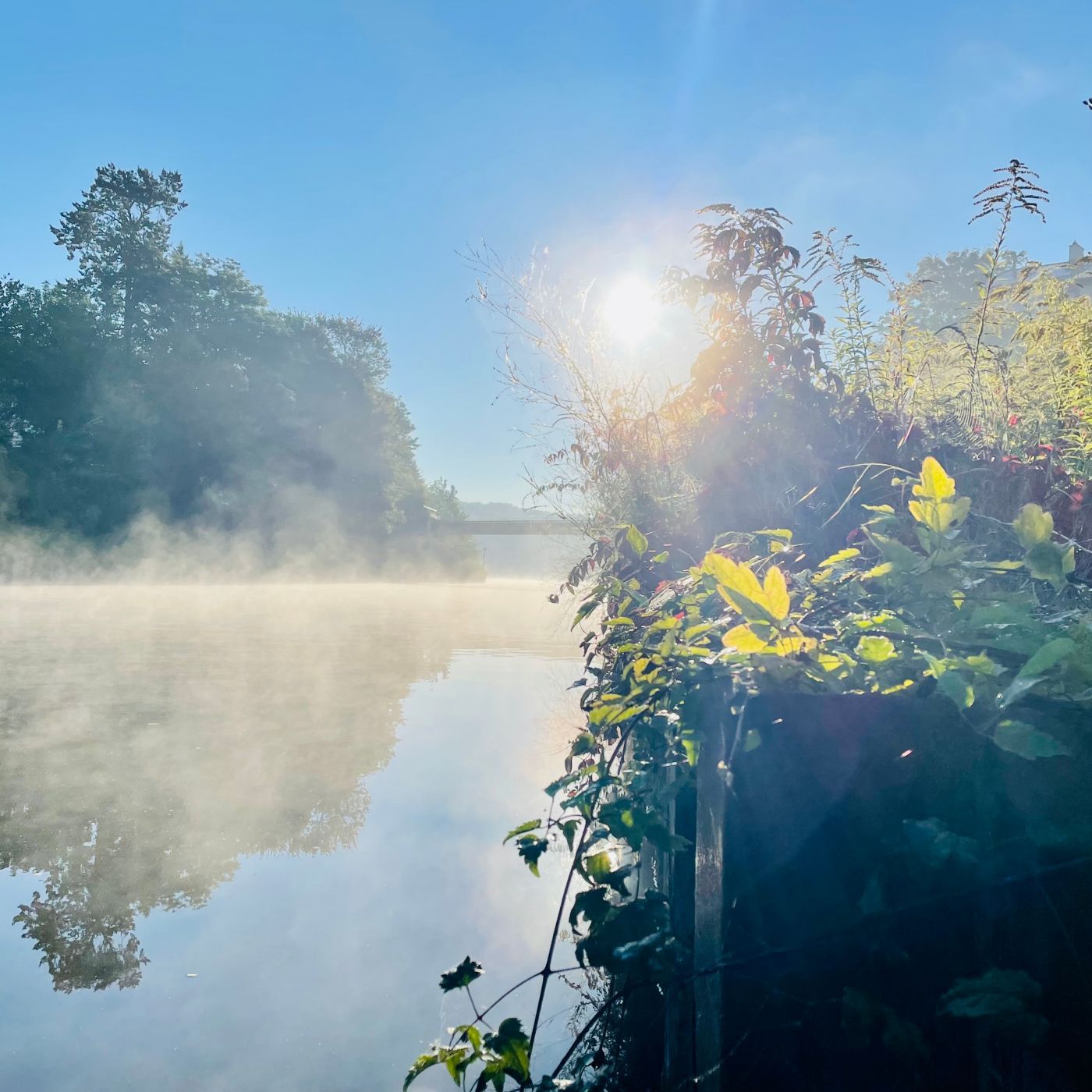 Spontan auf Zander: Alles spricht dagegen, wir versuchen es trotzdem | #102