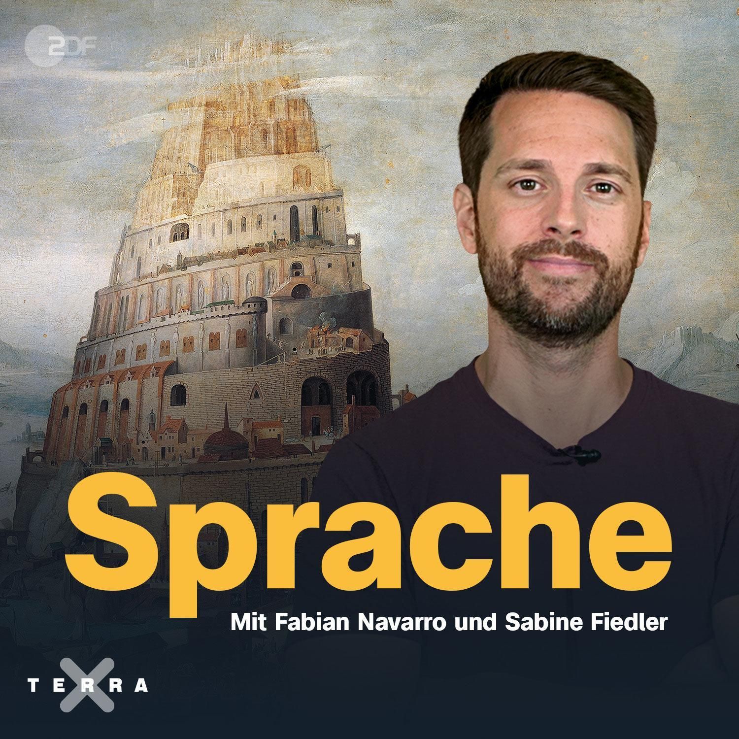 Sprache: Eine Geschichte von Babelfischen und Dichtkunst