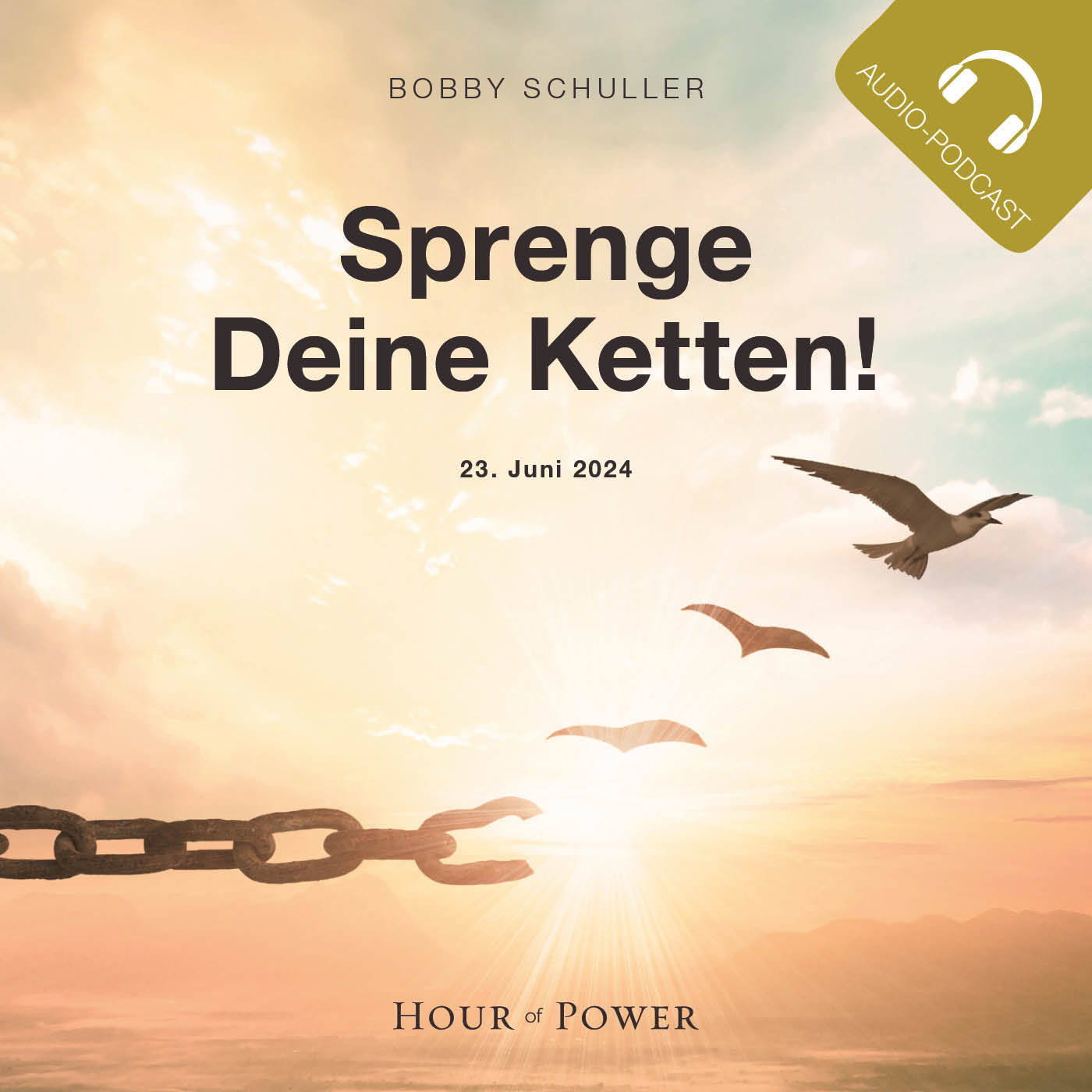 Sprenge Deine Ketten! - Predigt von Bobby Schuller