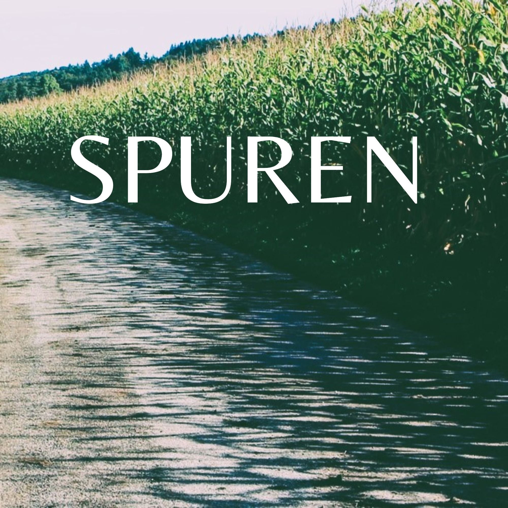 SPUREN