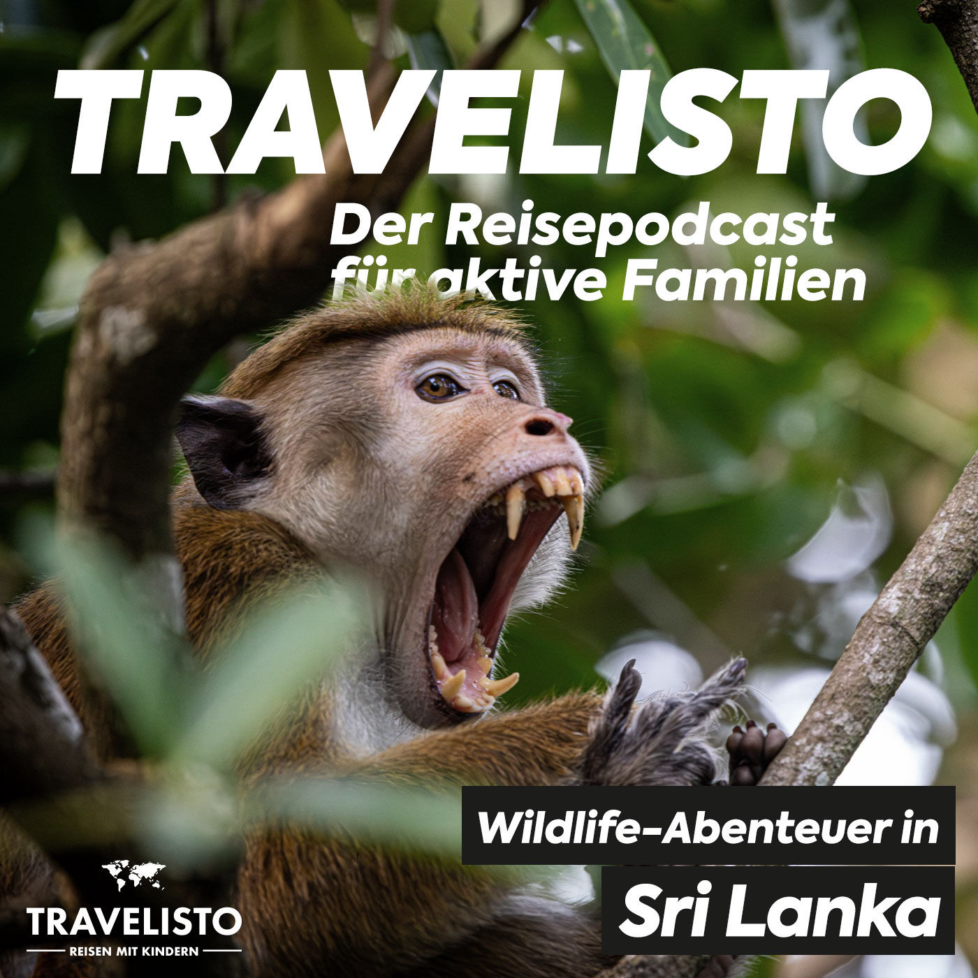 Sri Lanka: Safari, Wildlife & Abenteuer mit Tierexperte Nils Rommeiß