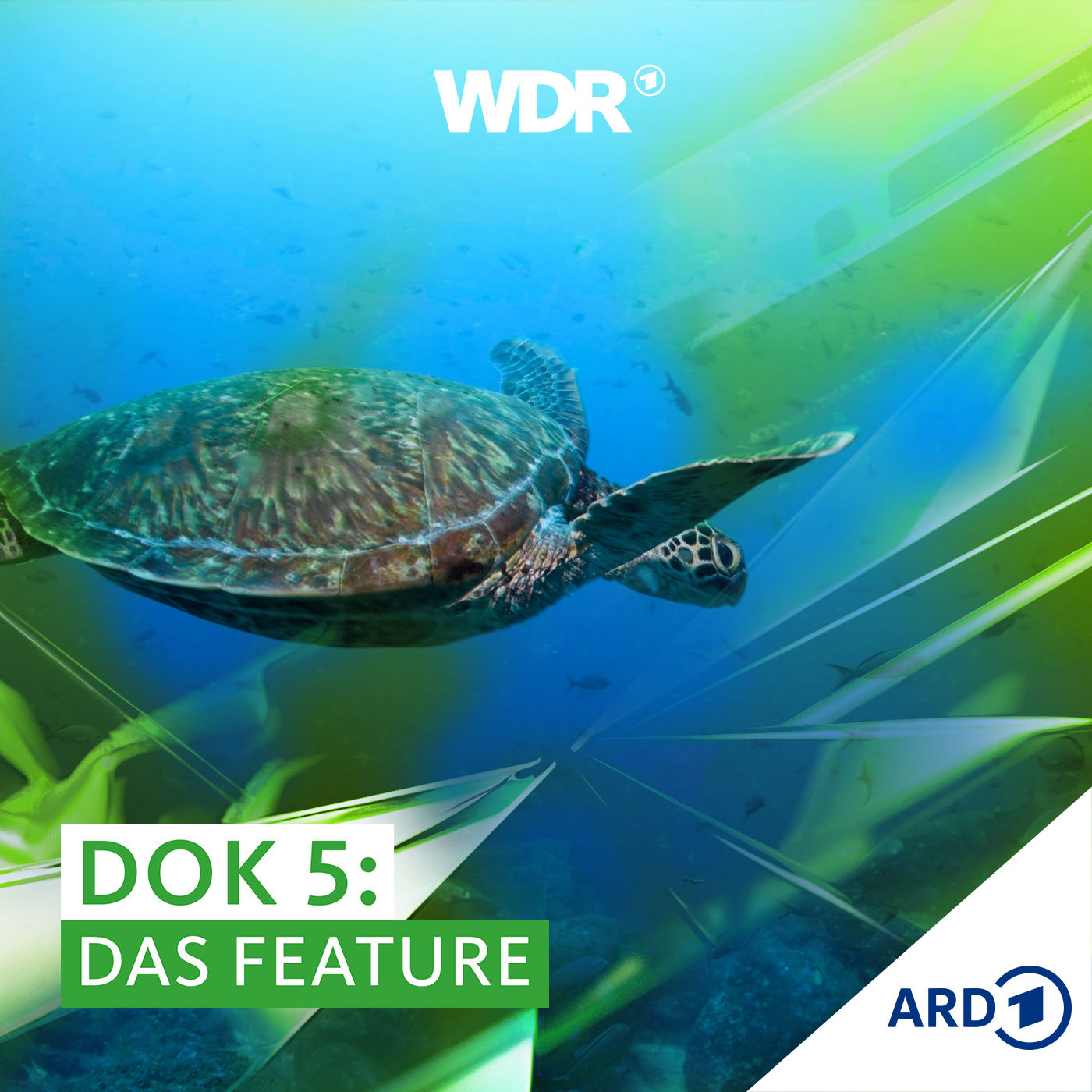 Staatsschulden gegen Naturschutz – Wie sinnvoll sind Debt-for-nature Swaps?