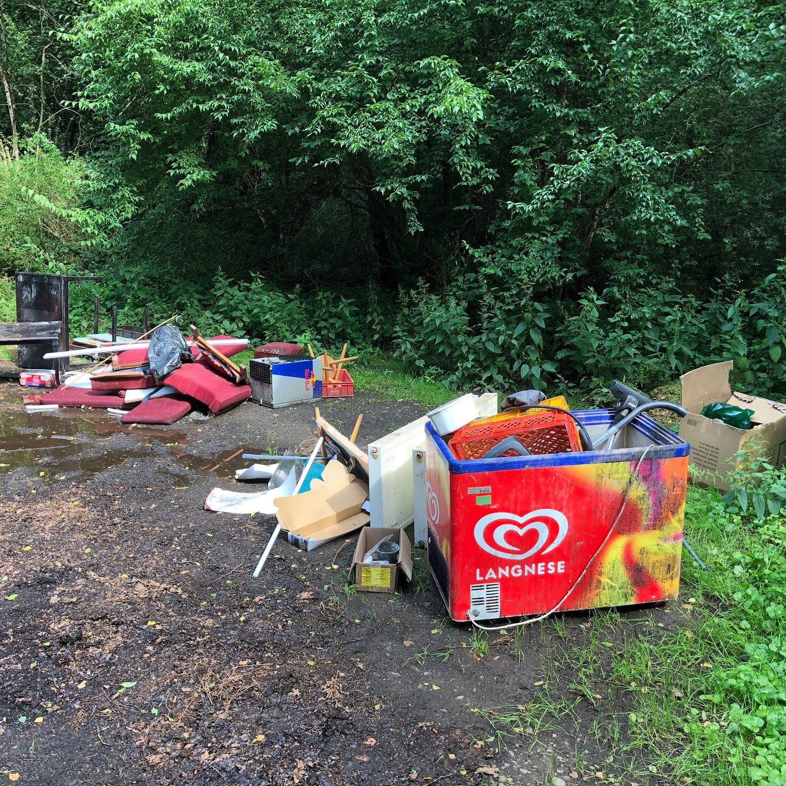 Städte in Sachsen leiden unter illegal entsorgtem Müll