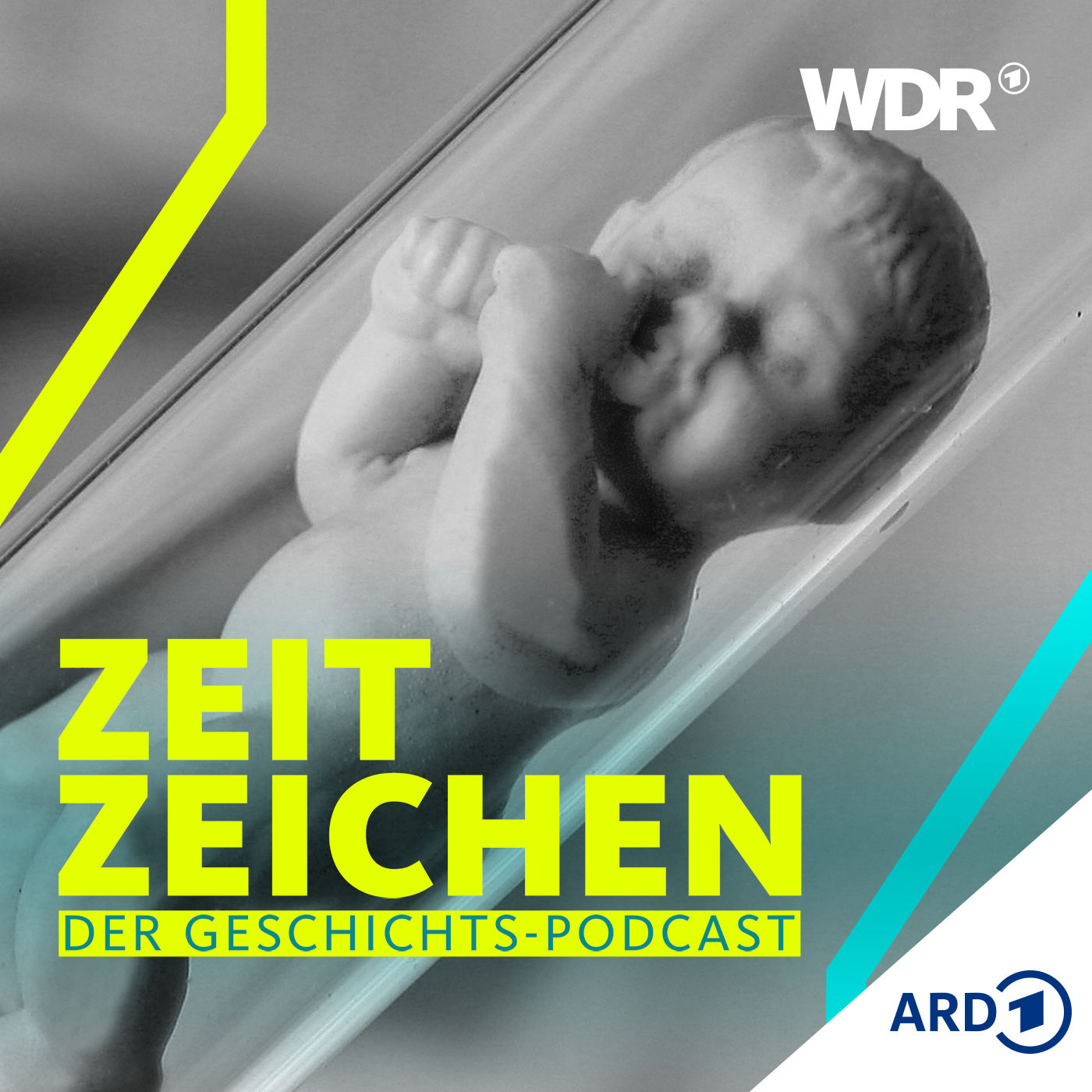 Stammzellforschung: Wissenschaftsrevolution aus Großbritannien