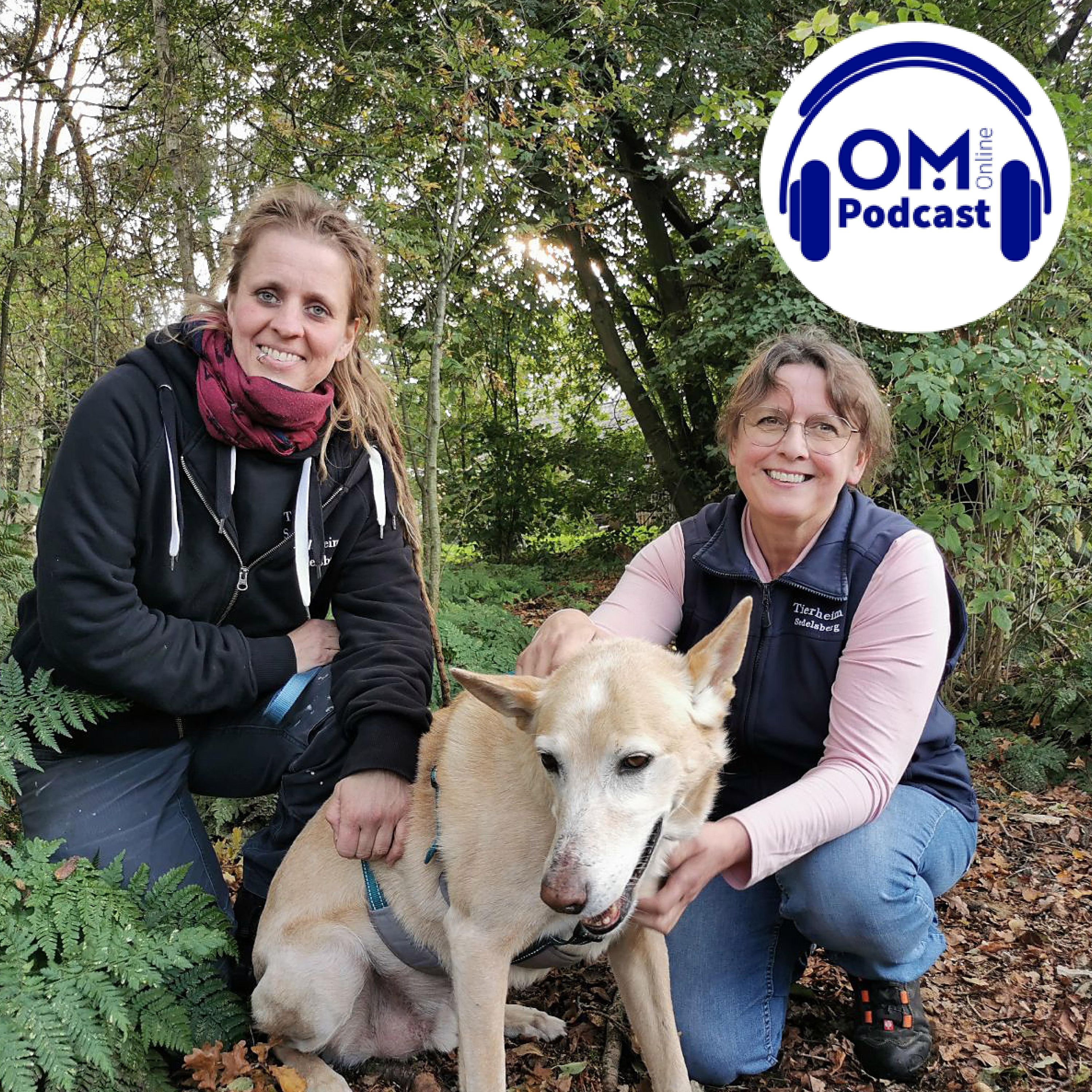 Standortsuche beendet? Das sind die Pläne für das Tierheim Sedelsberg — Episode 176