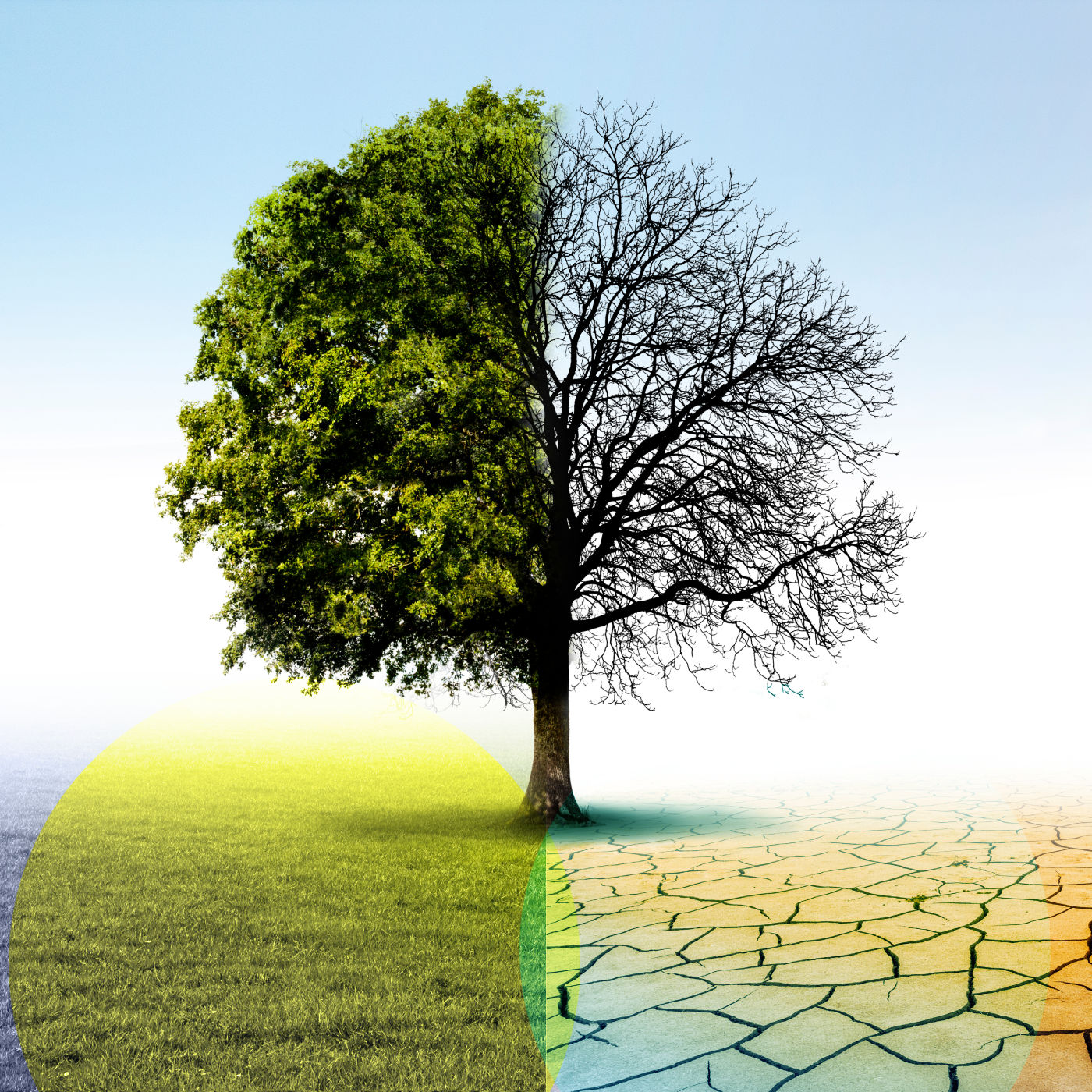 Starker Regen, trockenes Land: Das neue Normal