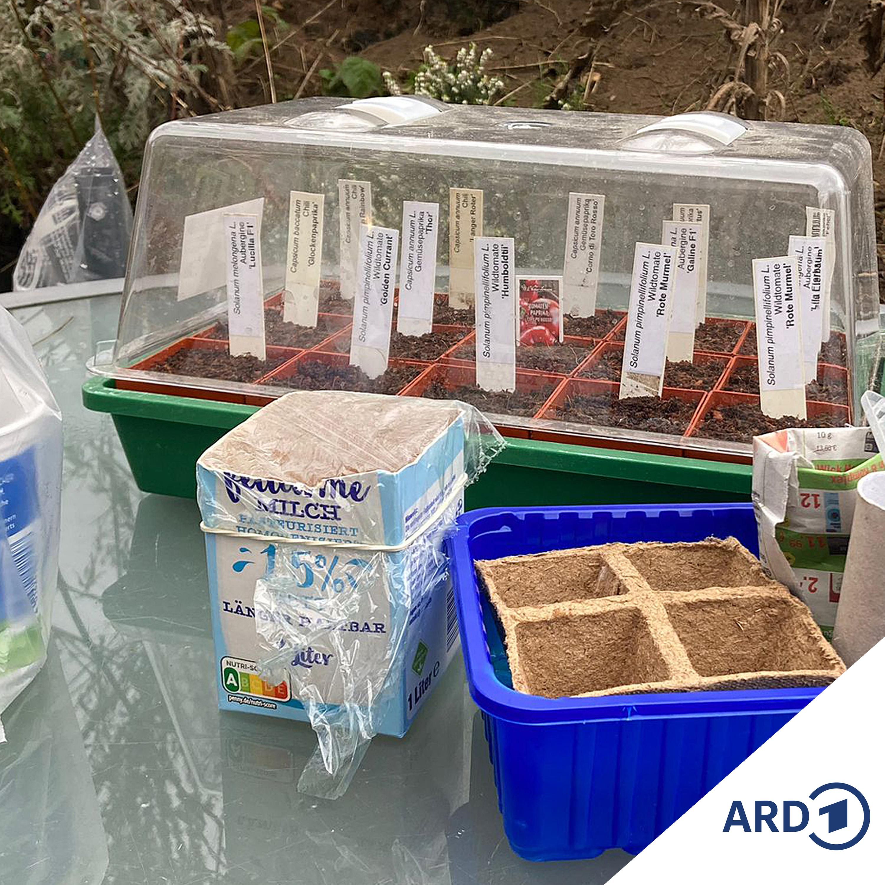 Start in die Garten-Saison 2024