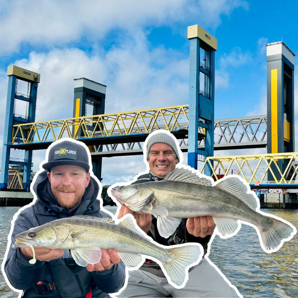 Sternstunde: Hamburger Zander eskalieren | #158