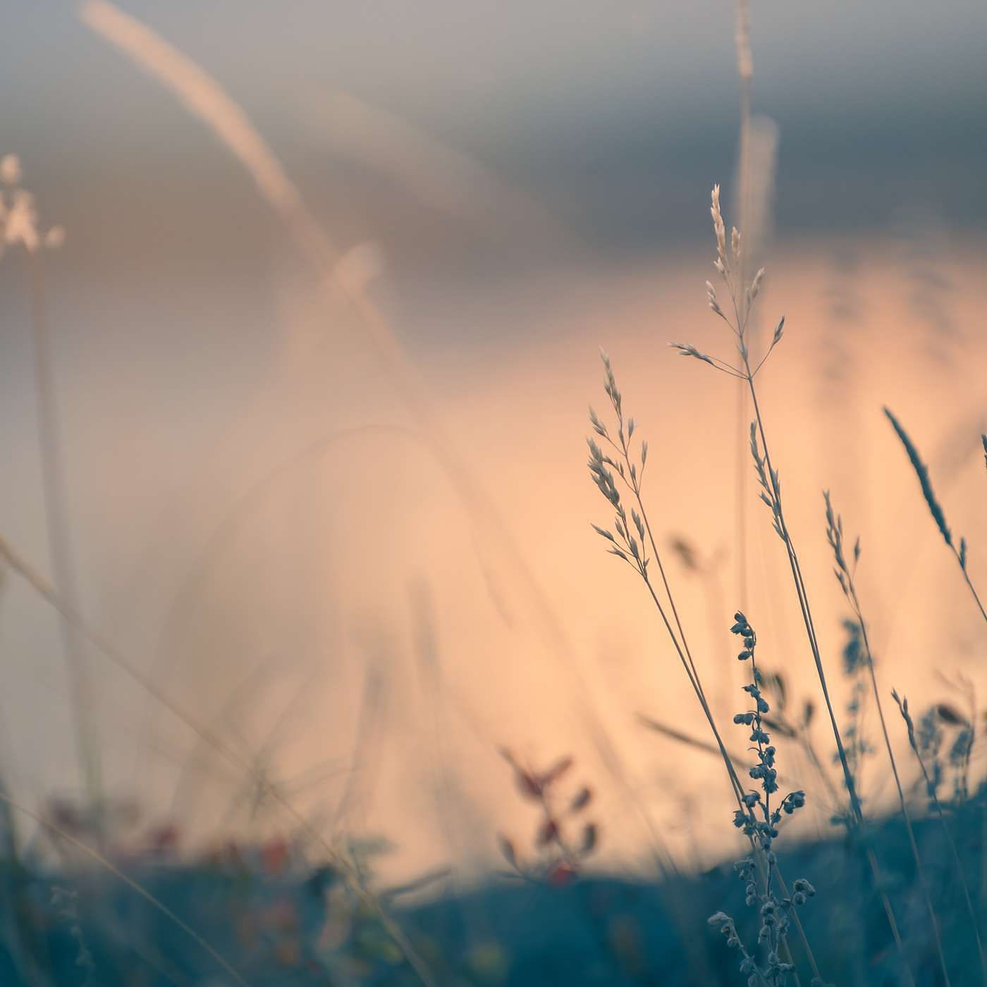 Stille und Besinnung in der Karwoche