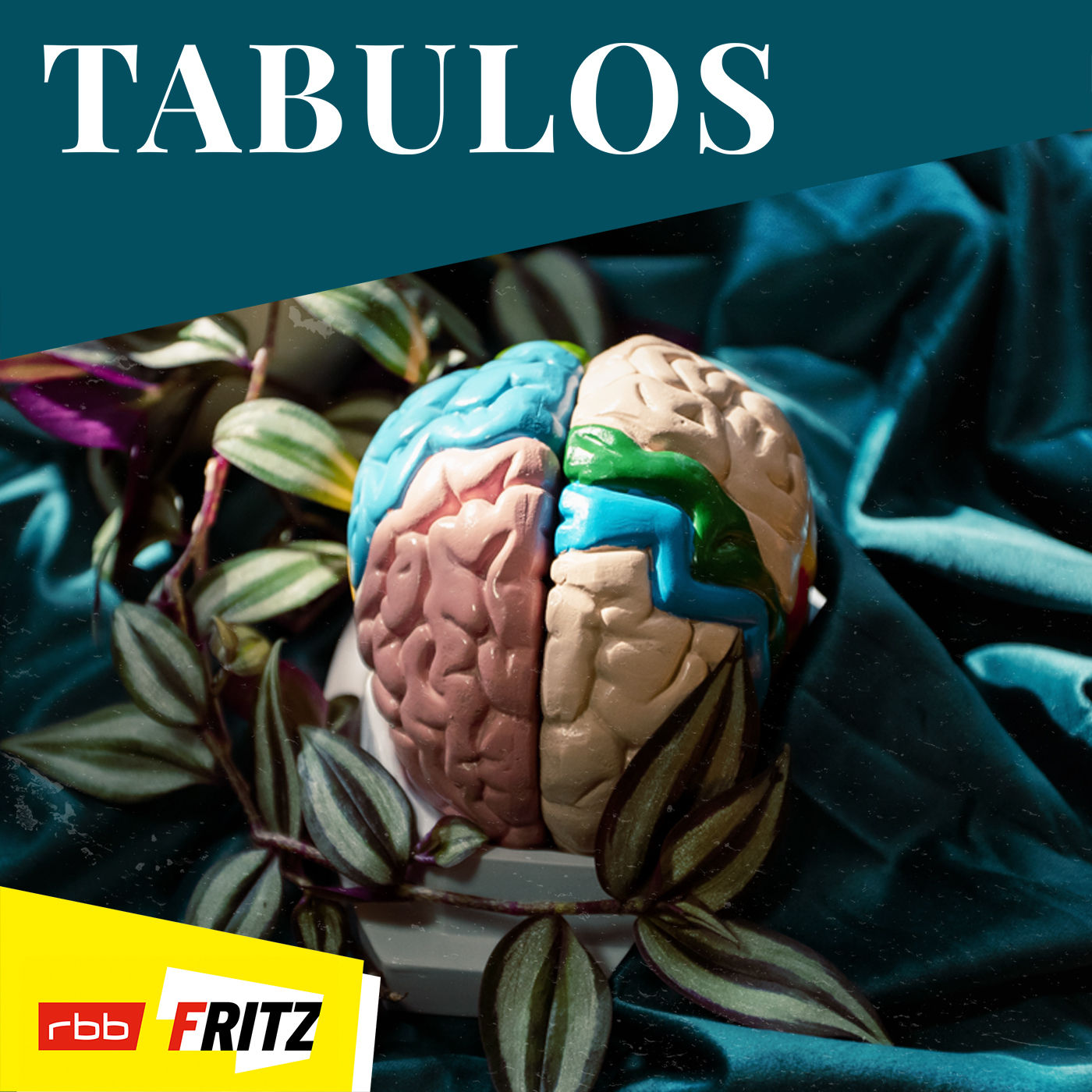 Stimmen im Kopf – Alicia hat eine dissoziative Persönlichkeitsstörung