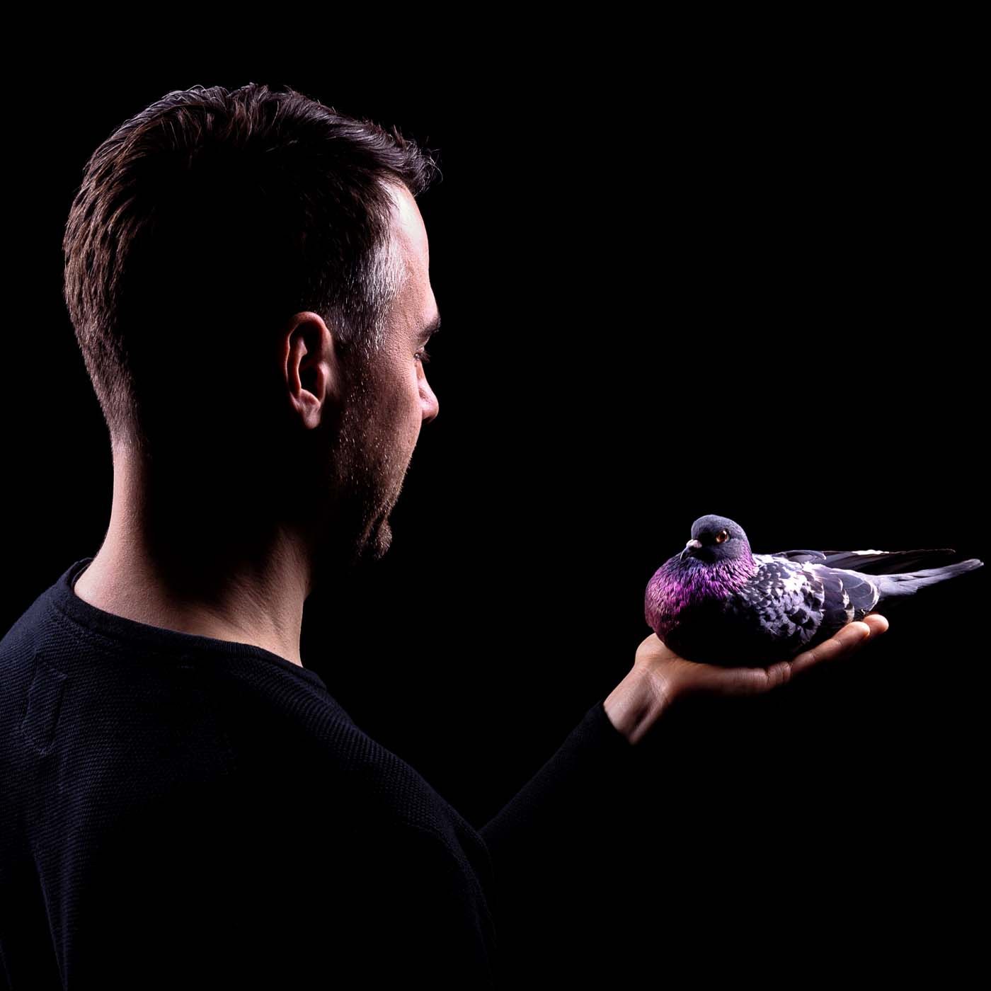 Stimming & Line-up-Welle des Reeperbahn Festivals