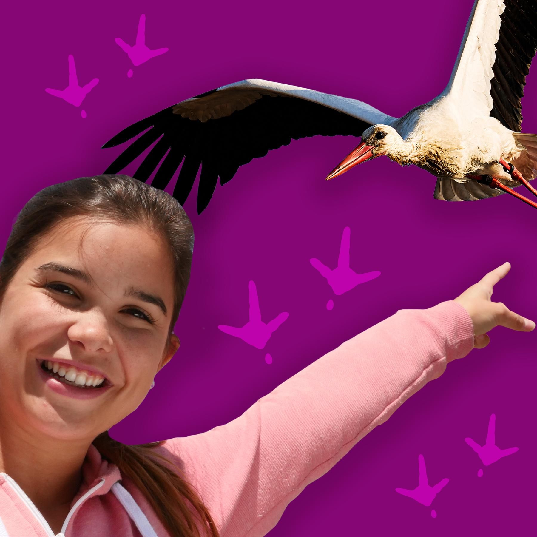 Störche - Langbeinige Vögel mit gigantischen Nestern