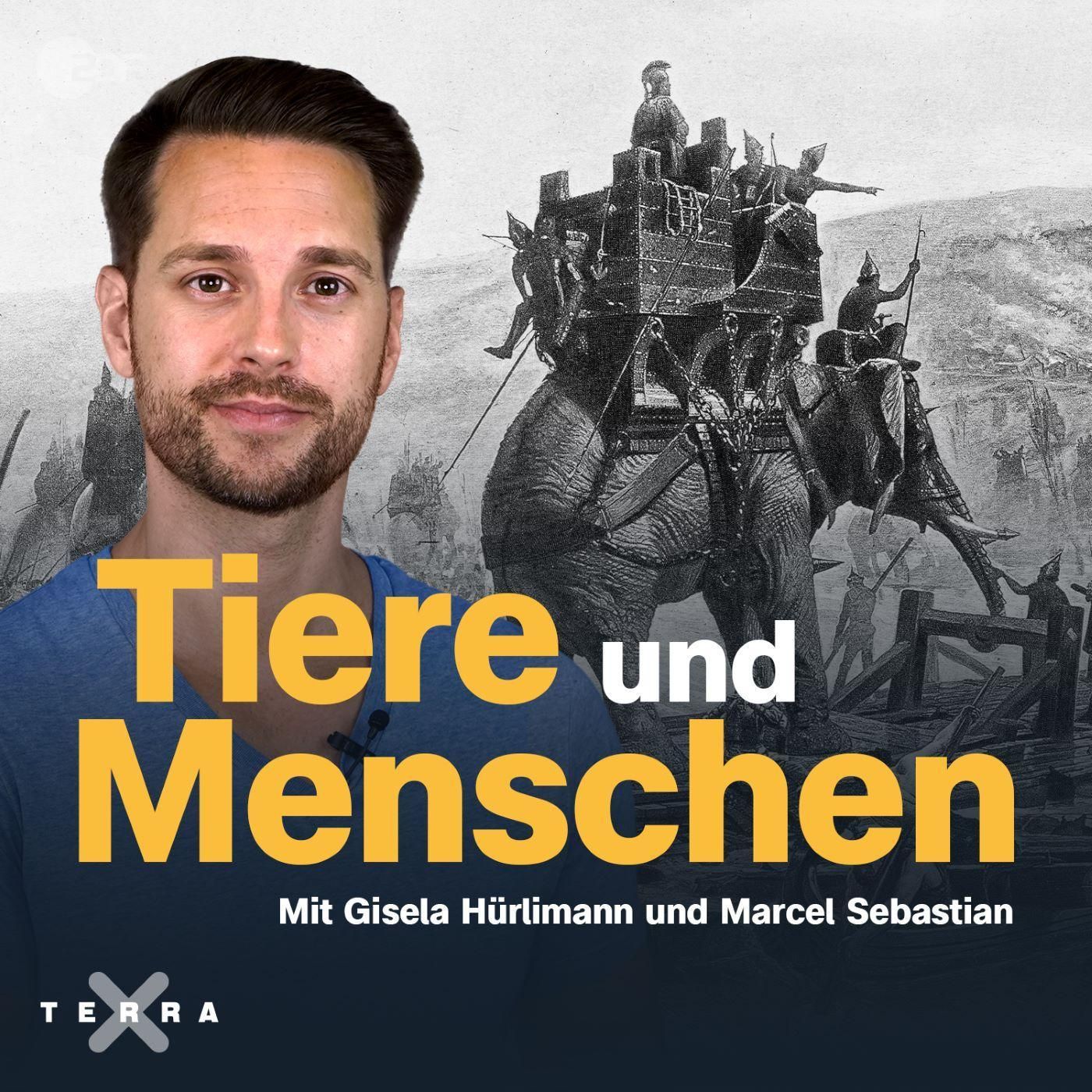 Streicheln oder schlachten? Die Geschichte von Tieren und Menschen