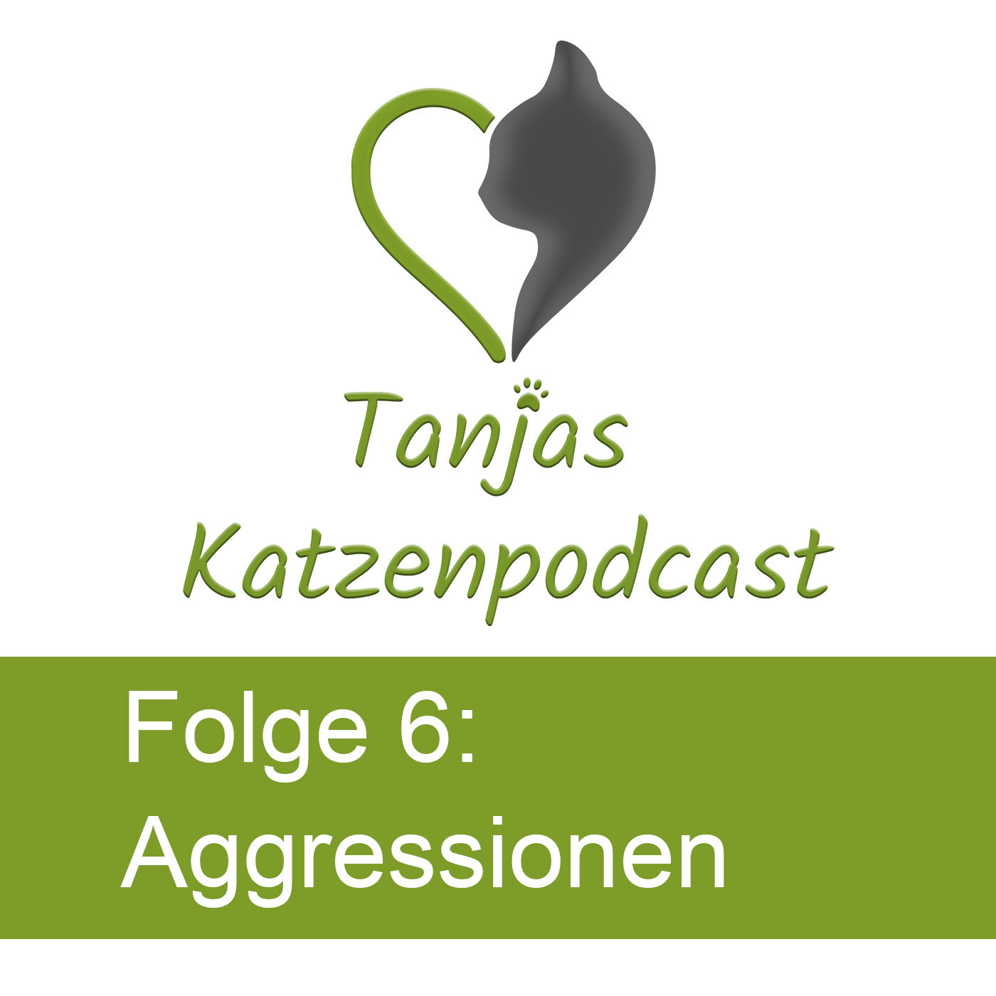 Streit und Aggressionen unter Katzen