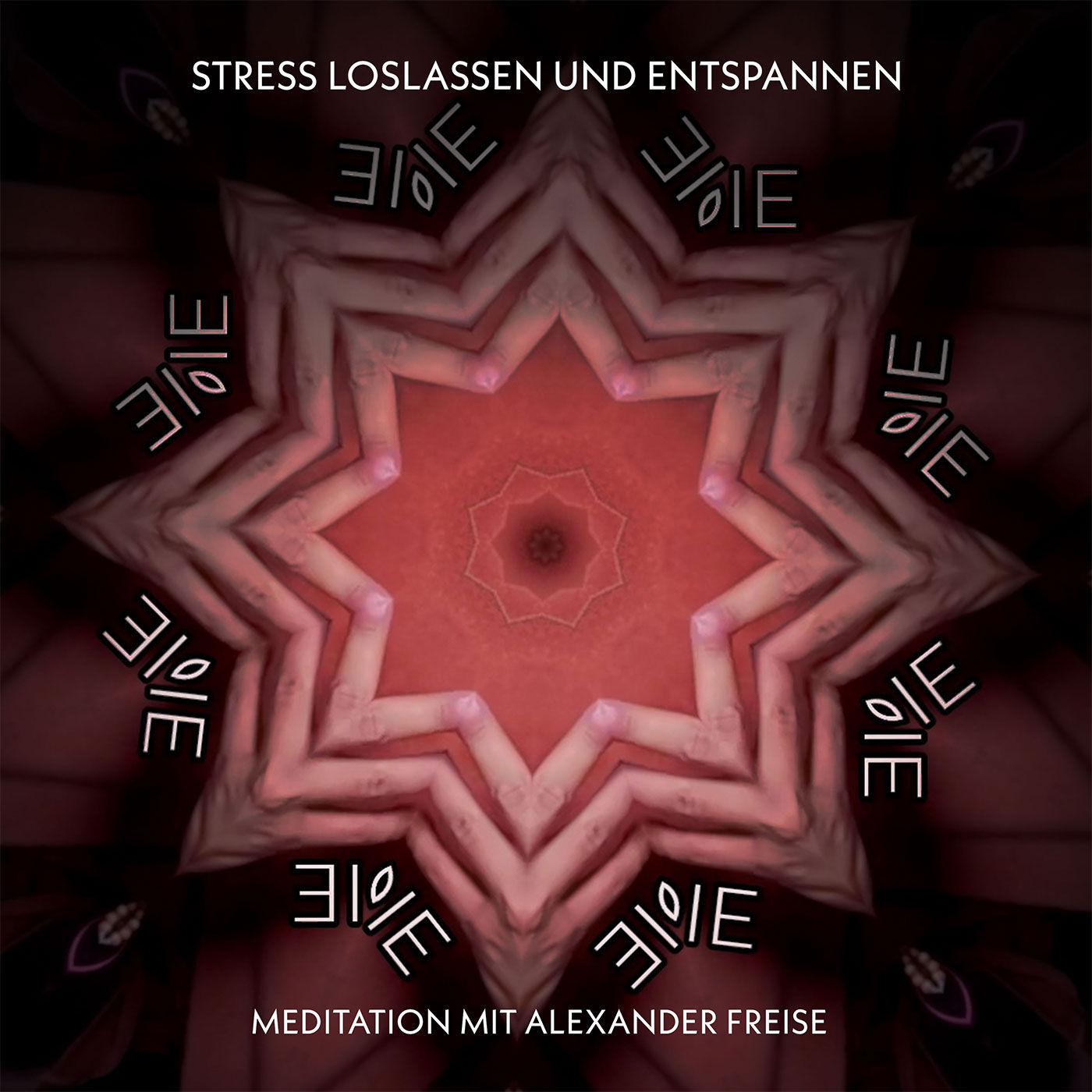 10 Minuten Meditation: Stress loslassen und erden