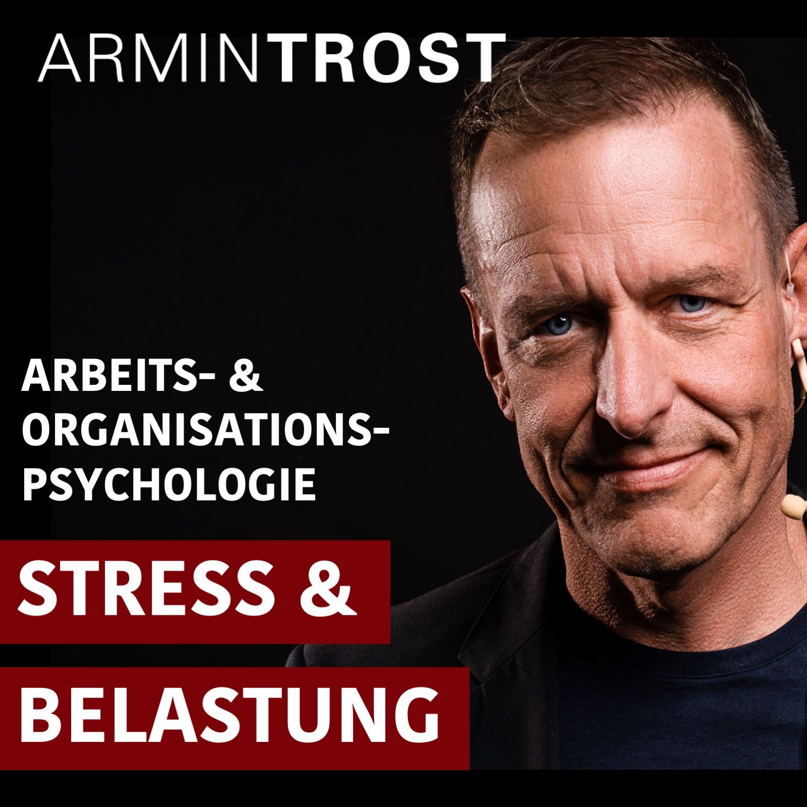 Stress und Belastung