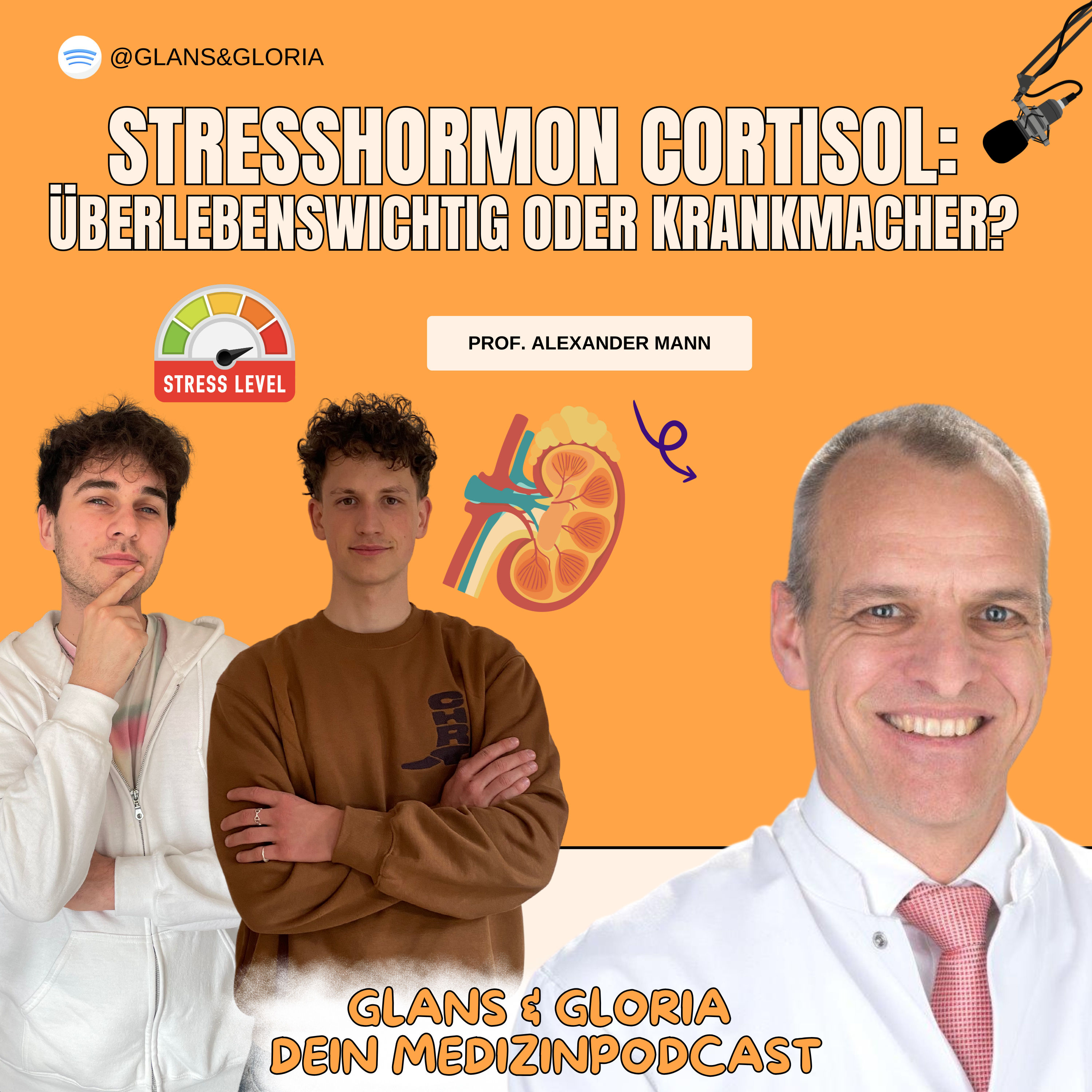 Stresshormon Cortisol: Überlebenswichtig oder Krankmacher? Expertentalk mit Prof. Alexander Mann