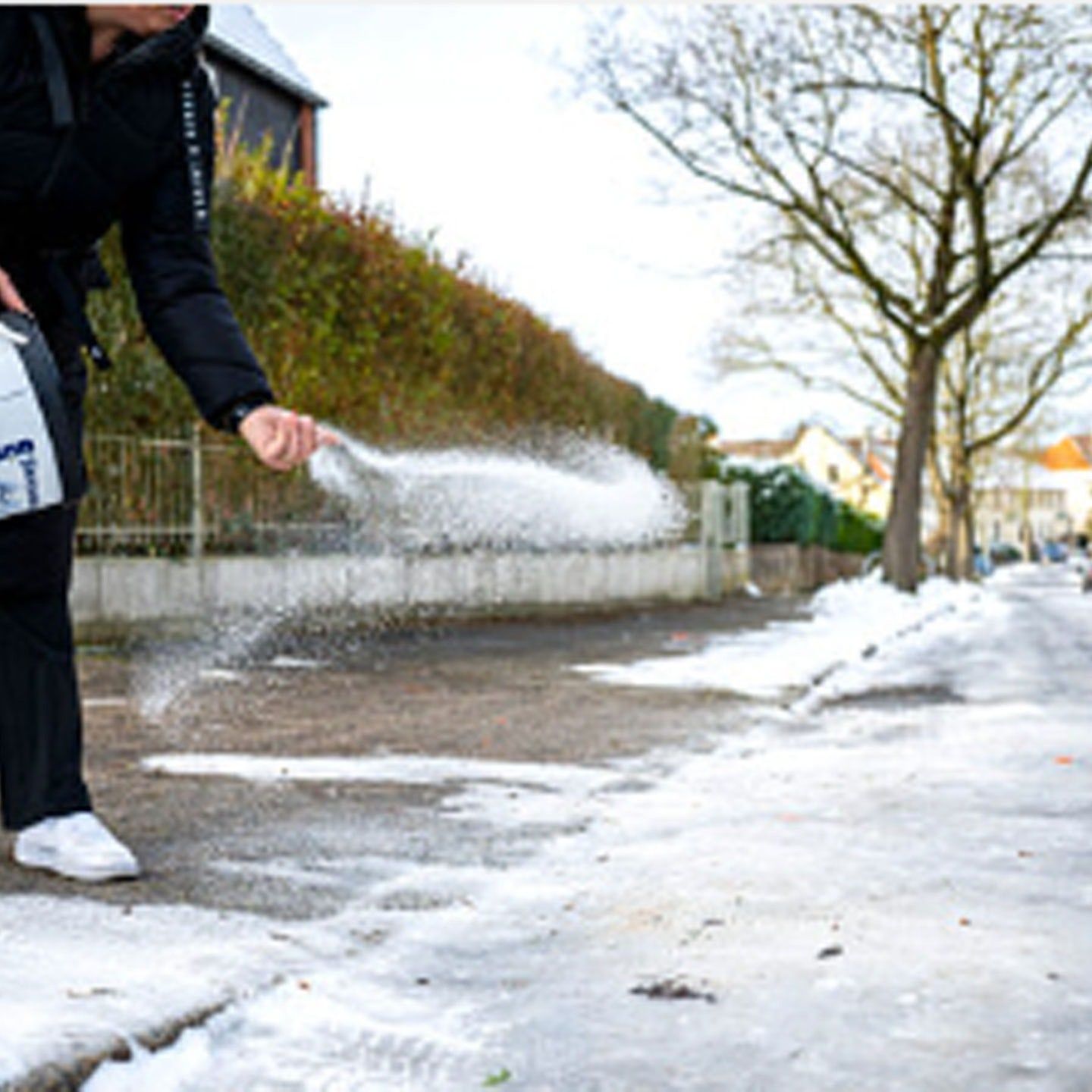 Streusalz im Winter - Und die Folgen im Sommer