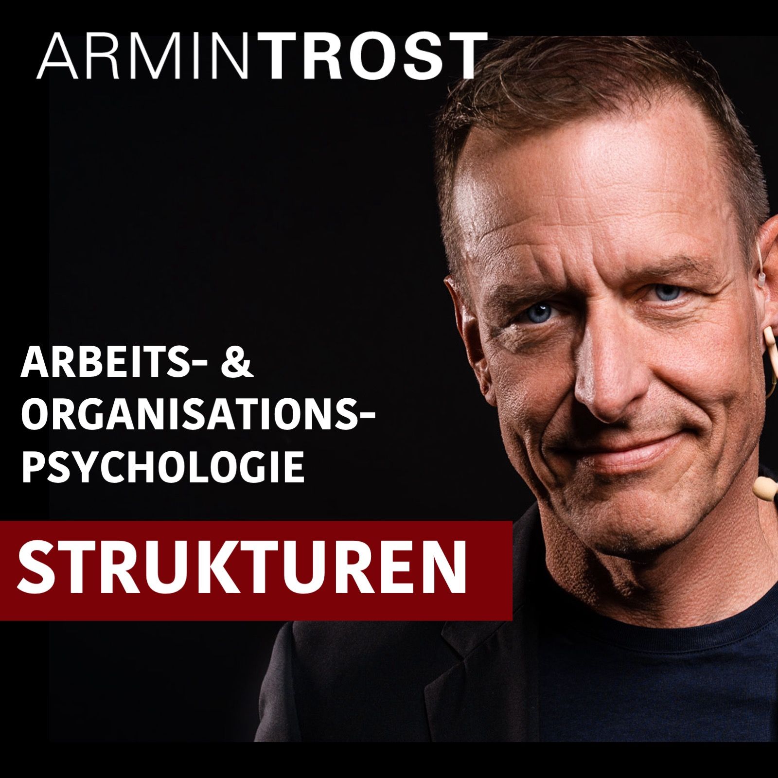 Strukturen in Organisationen